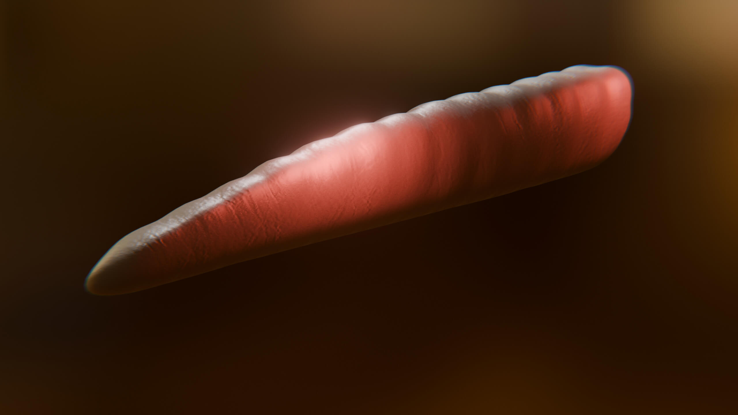 Cursed Worm Blender Model 3D Model