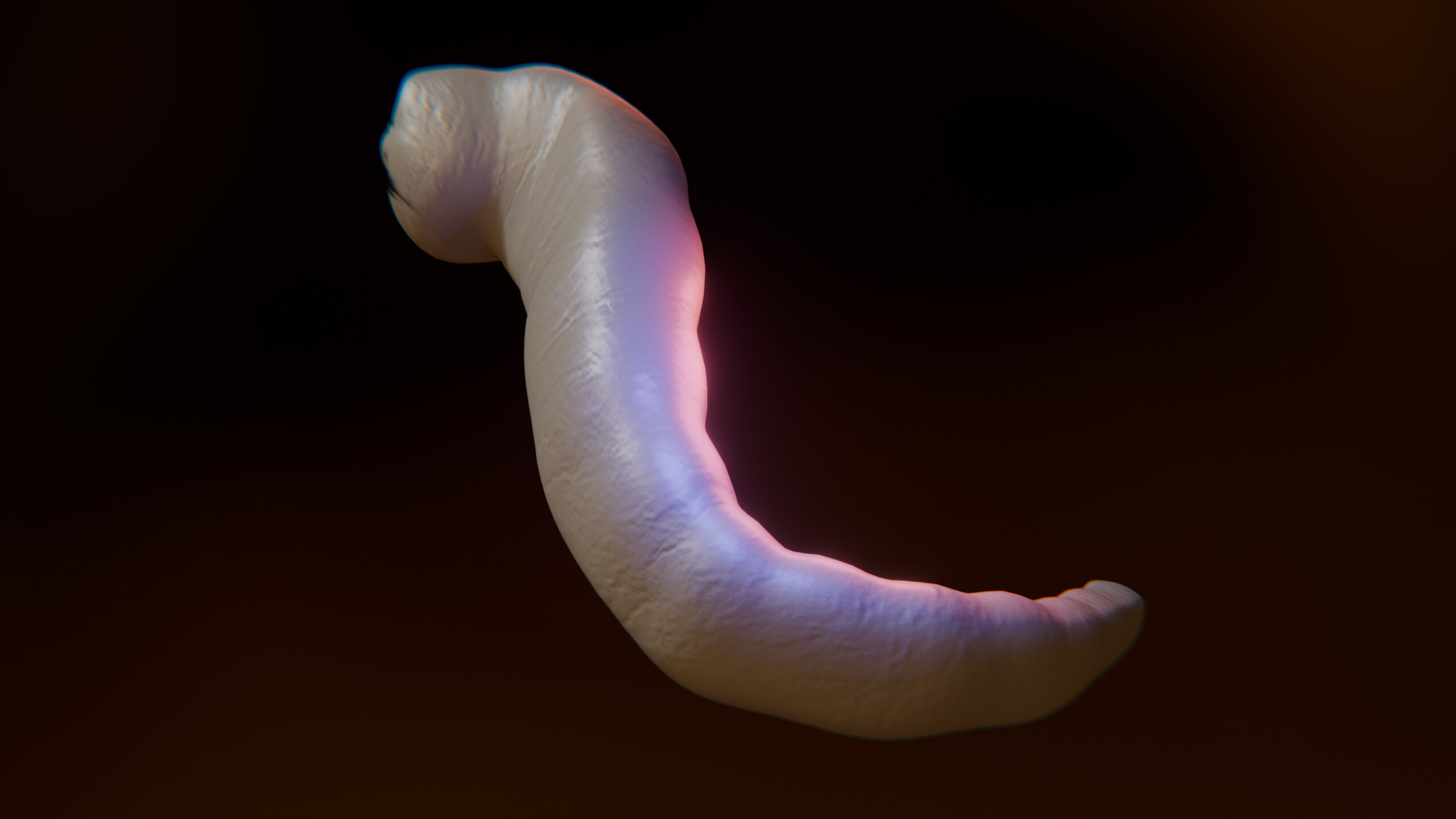 Cursed Worm Blender Model 3D Model