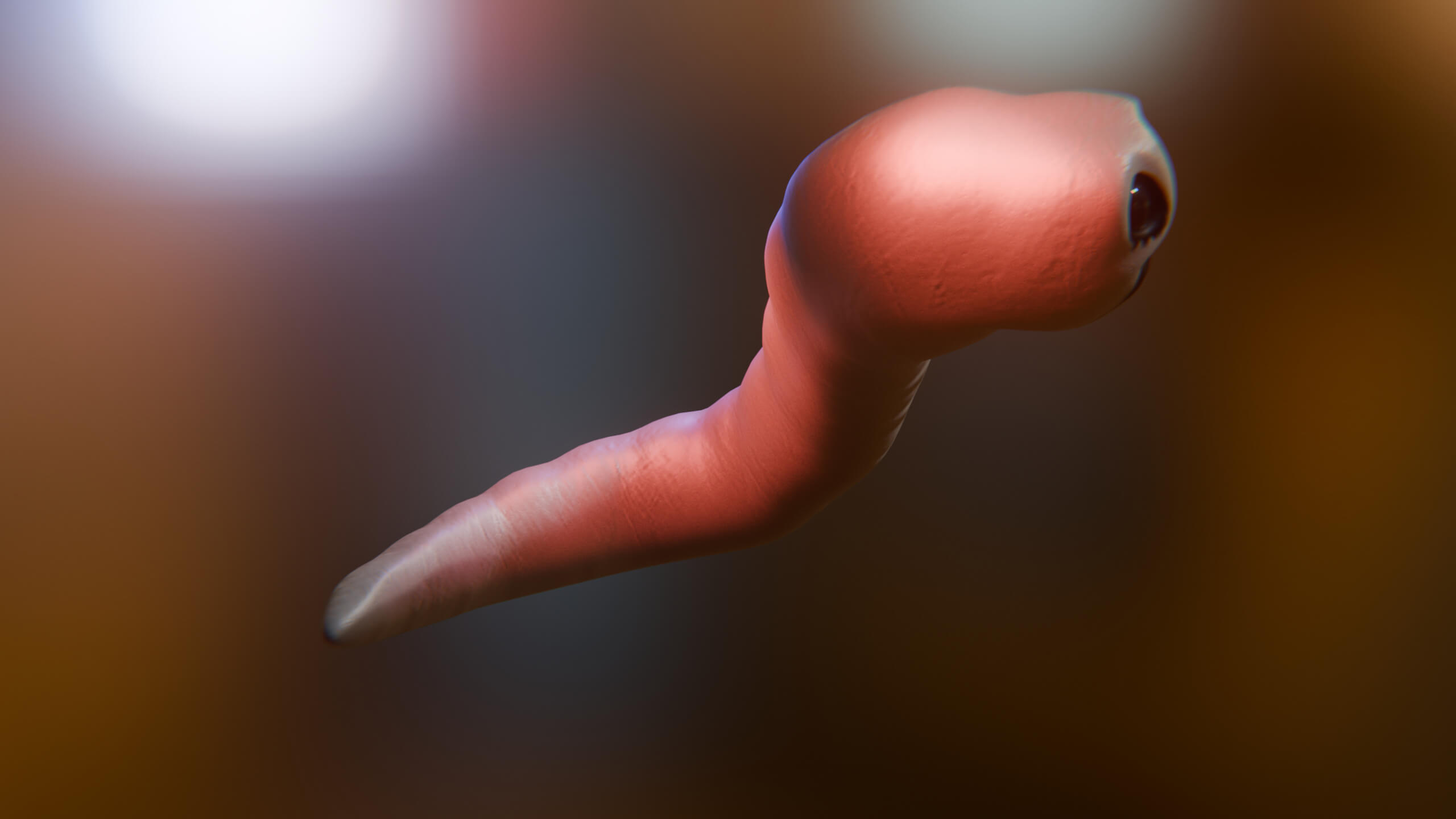 Cursed Worm Blender Model 3D Model