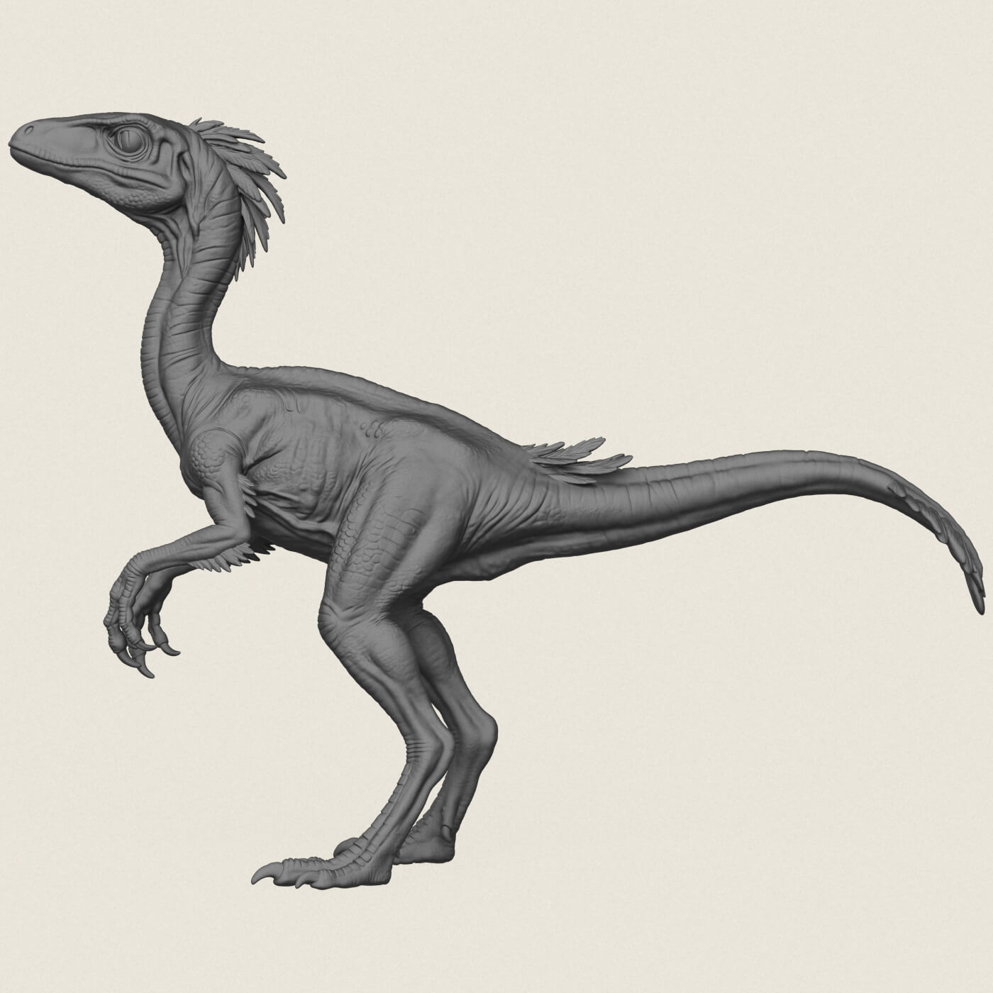 Compsognathus Dinosaur 3D Model