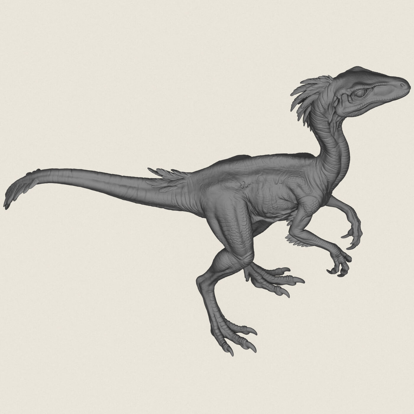 Compsognathus Dinosaur 3D Model
