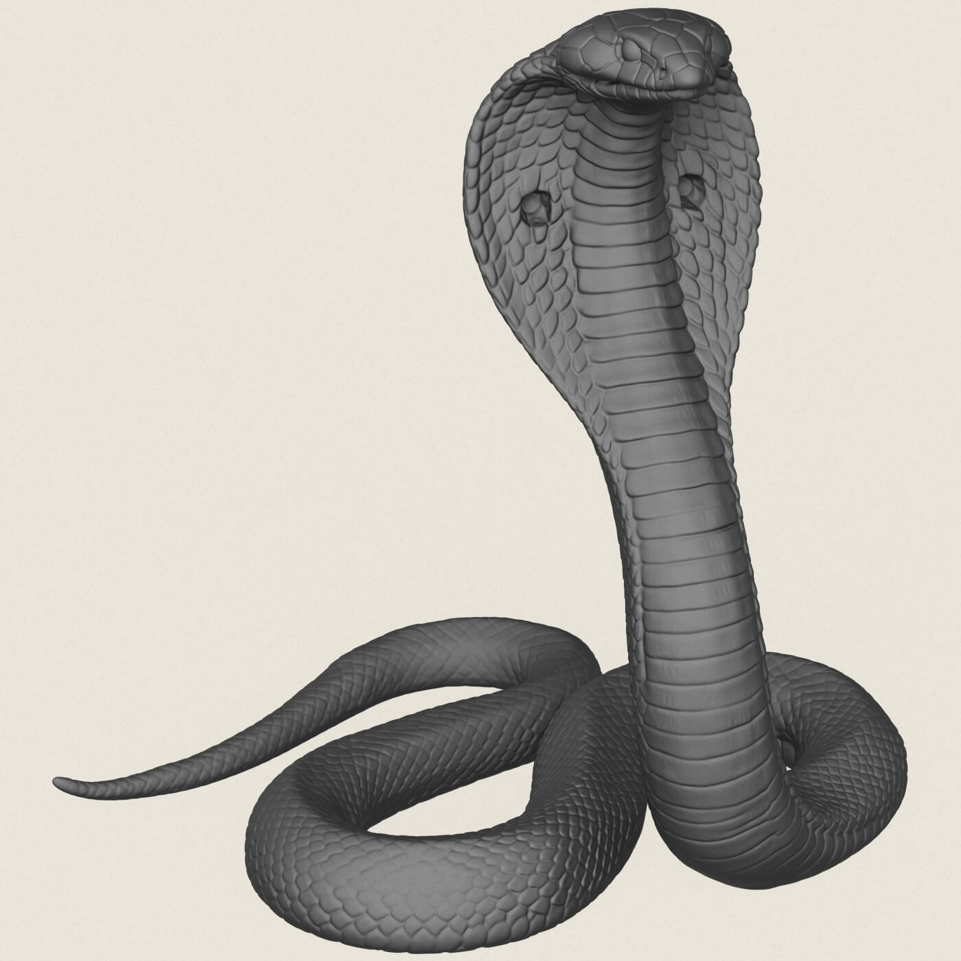 King Cobra Snake 3D Model