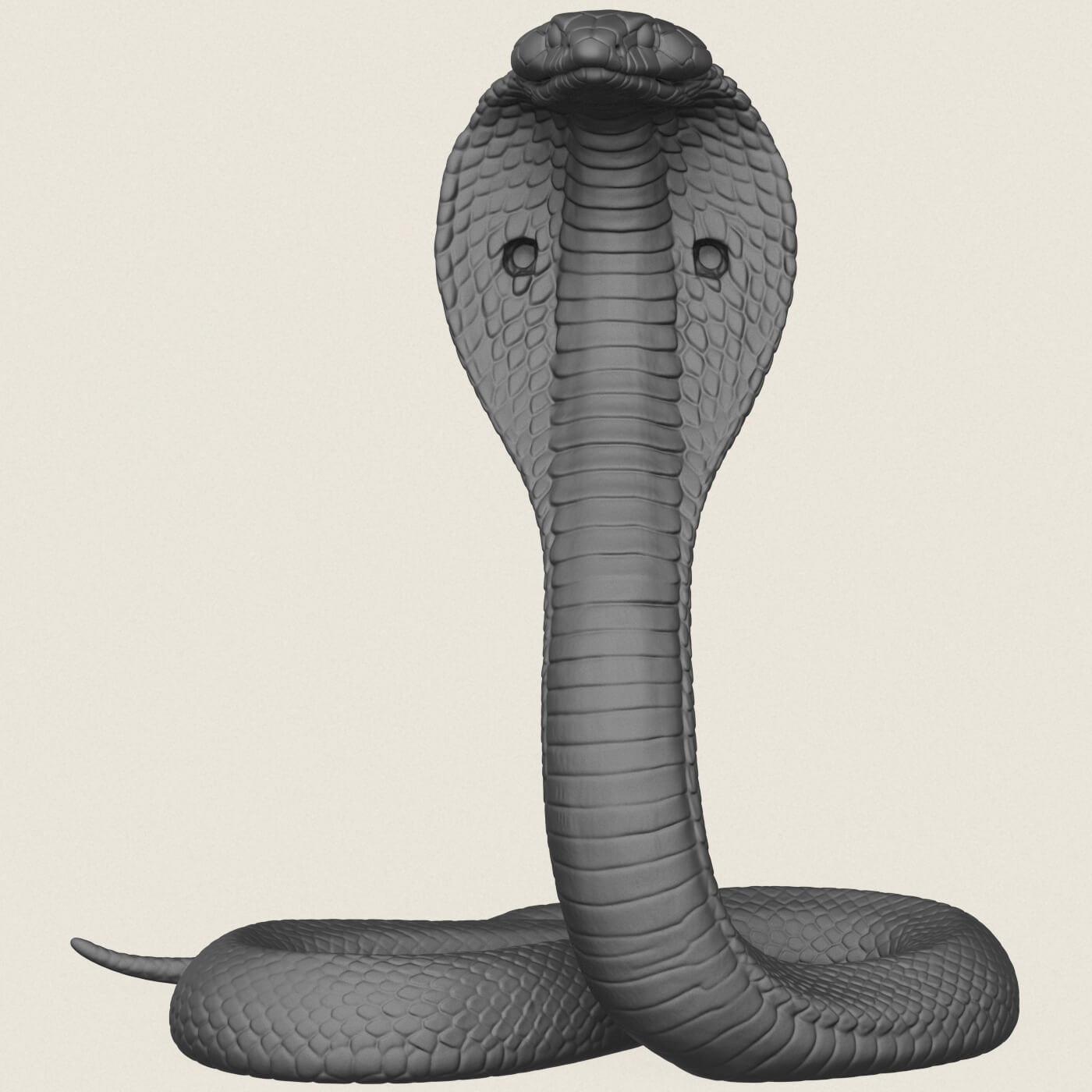 King Cobra Snake 3D Model