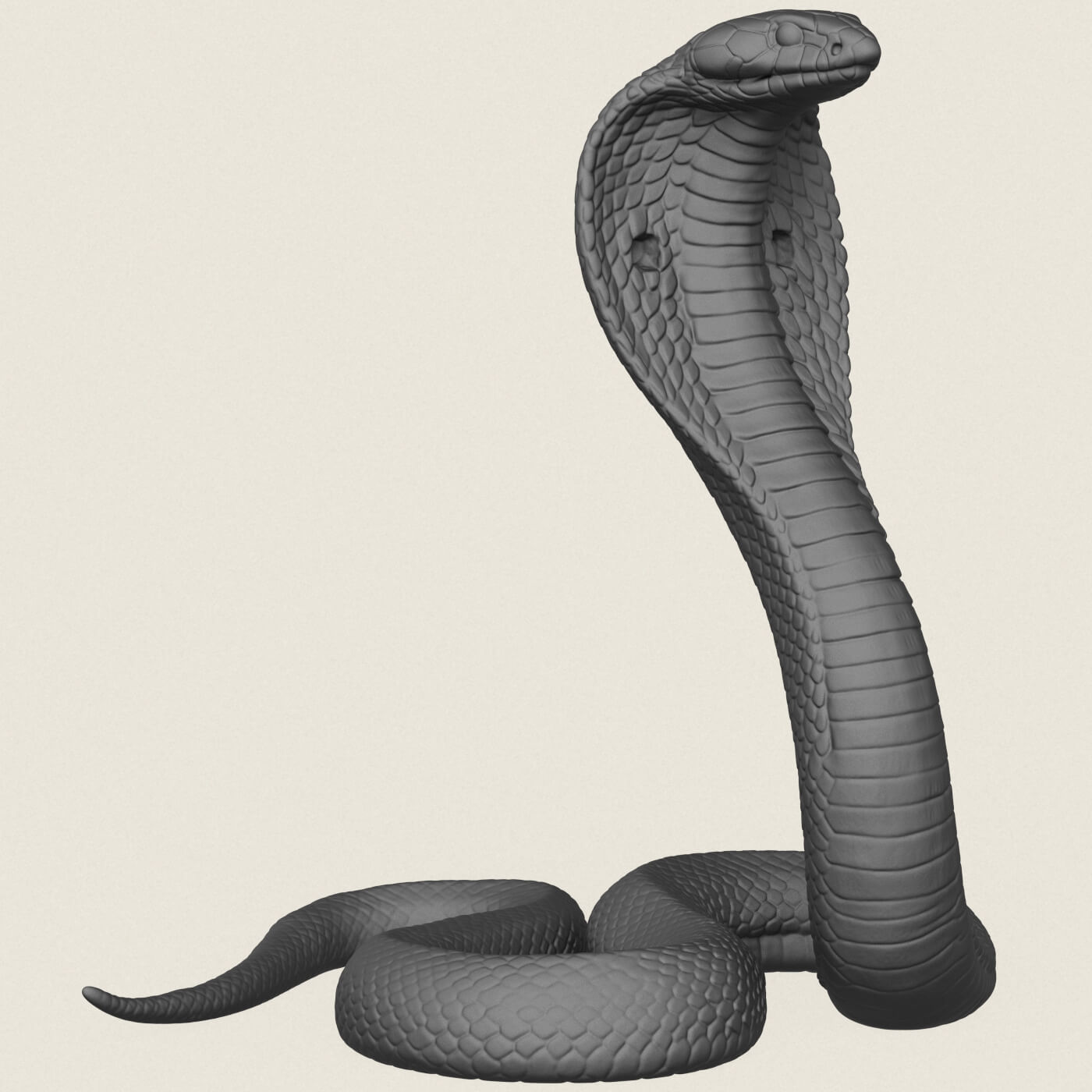 King Cobra Snake 3D Model