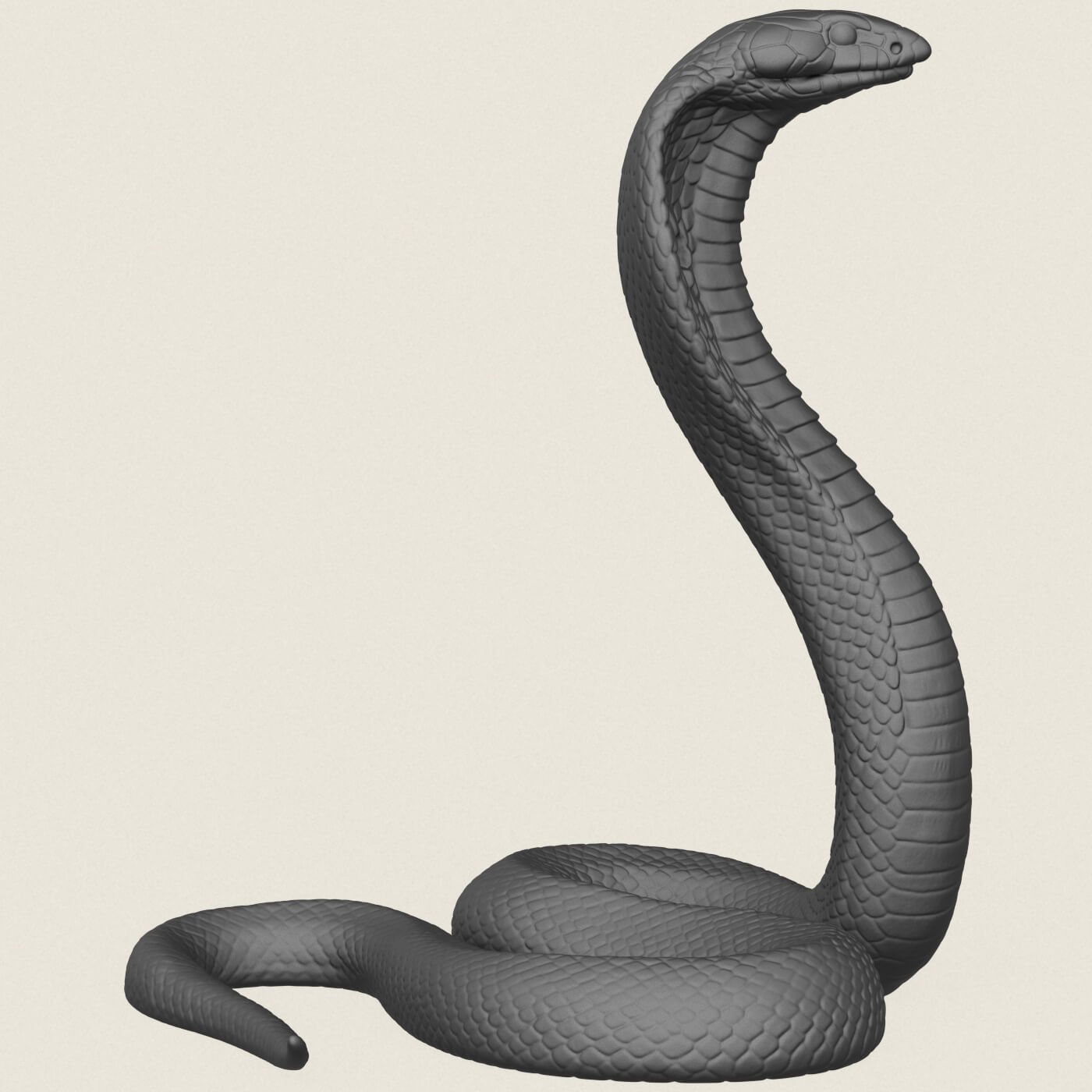 King Cobra Snake 3D Model