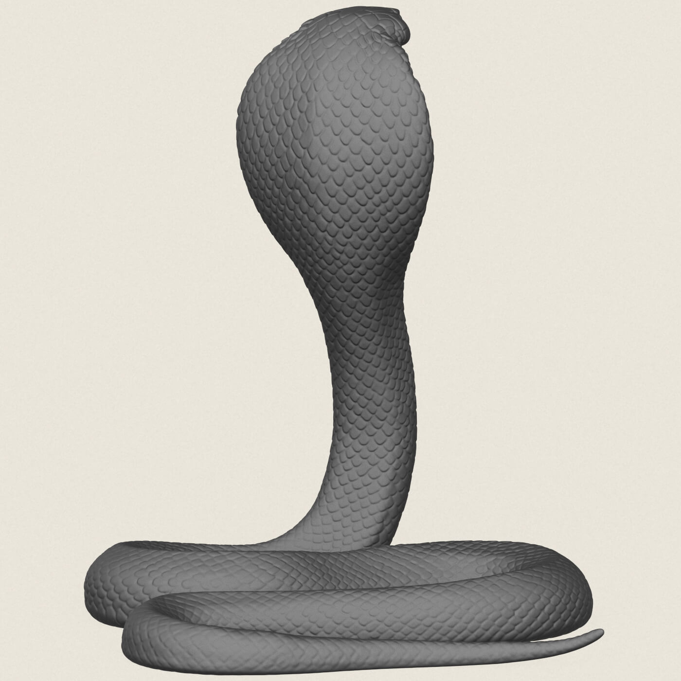King Cobra Snake 3D Model