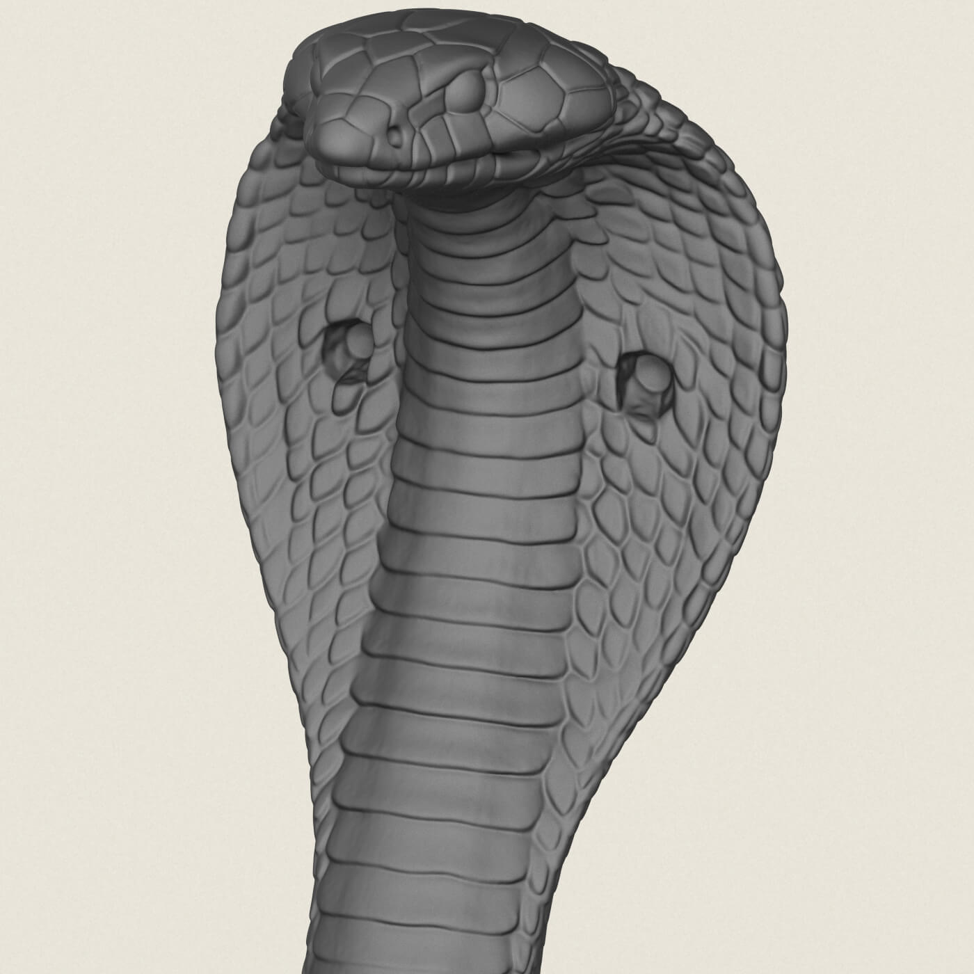 King Cobra Snake 3D Model