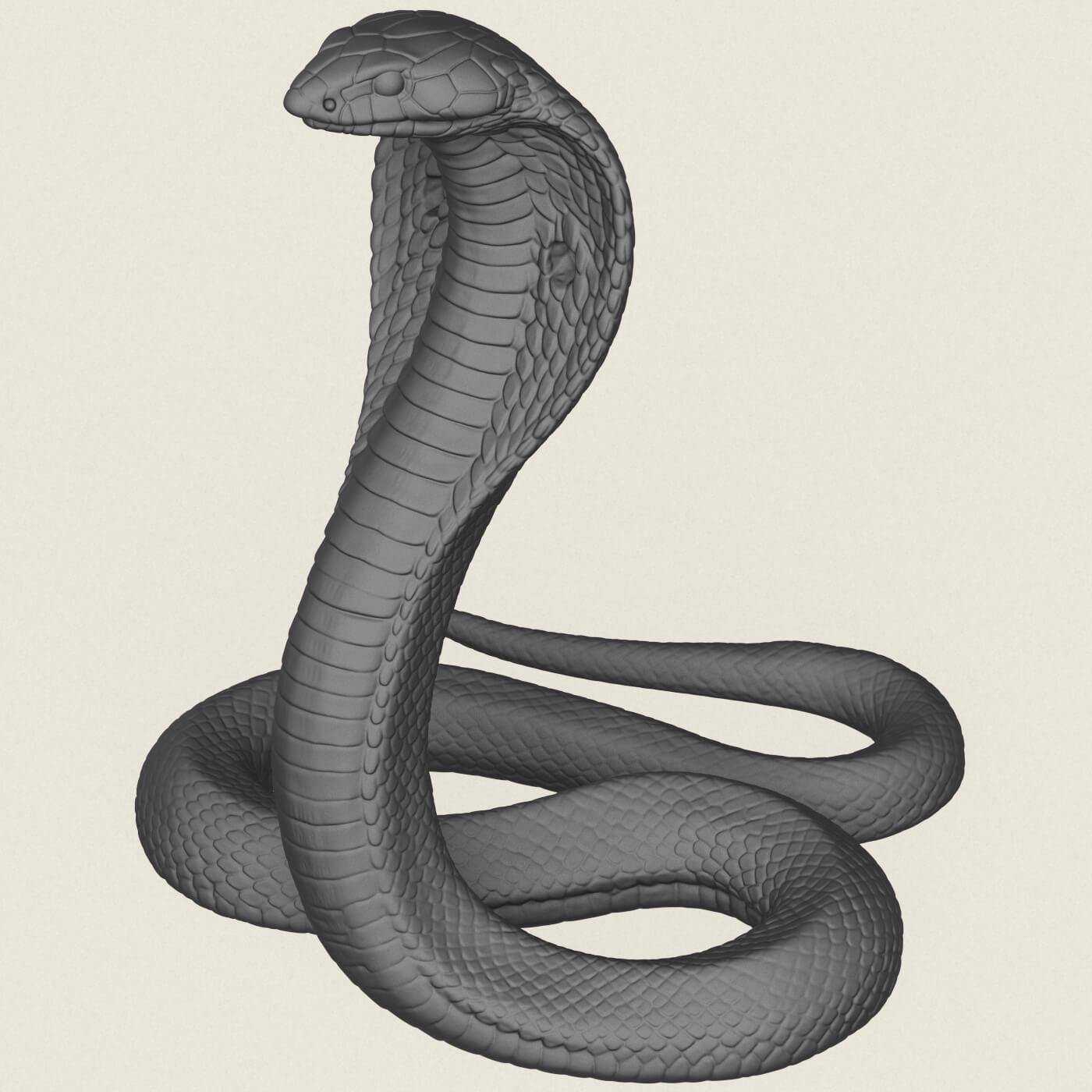King Cobra Snake 3D Model