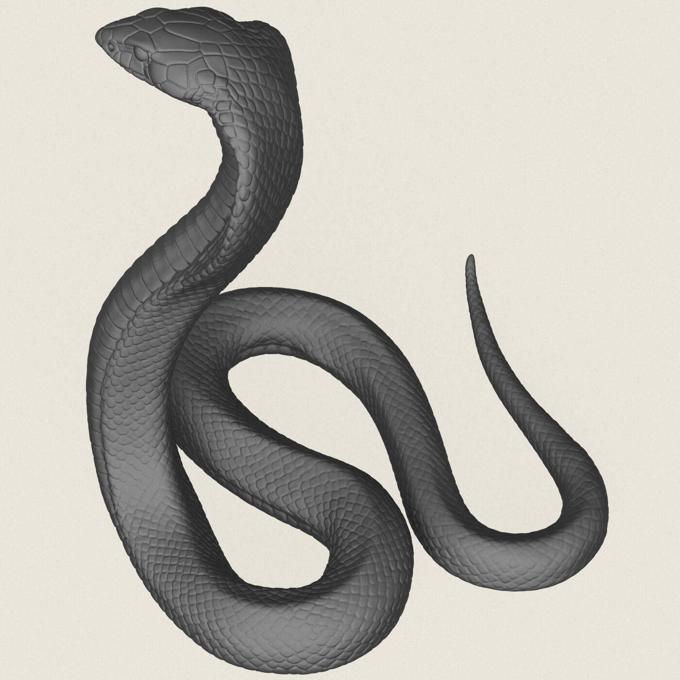 King Cobra Snake 3D Model