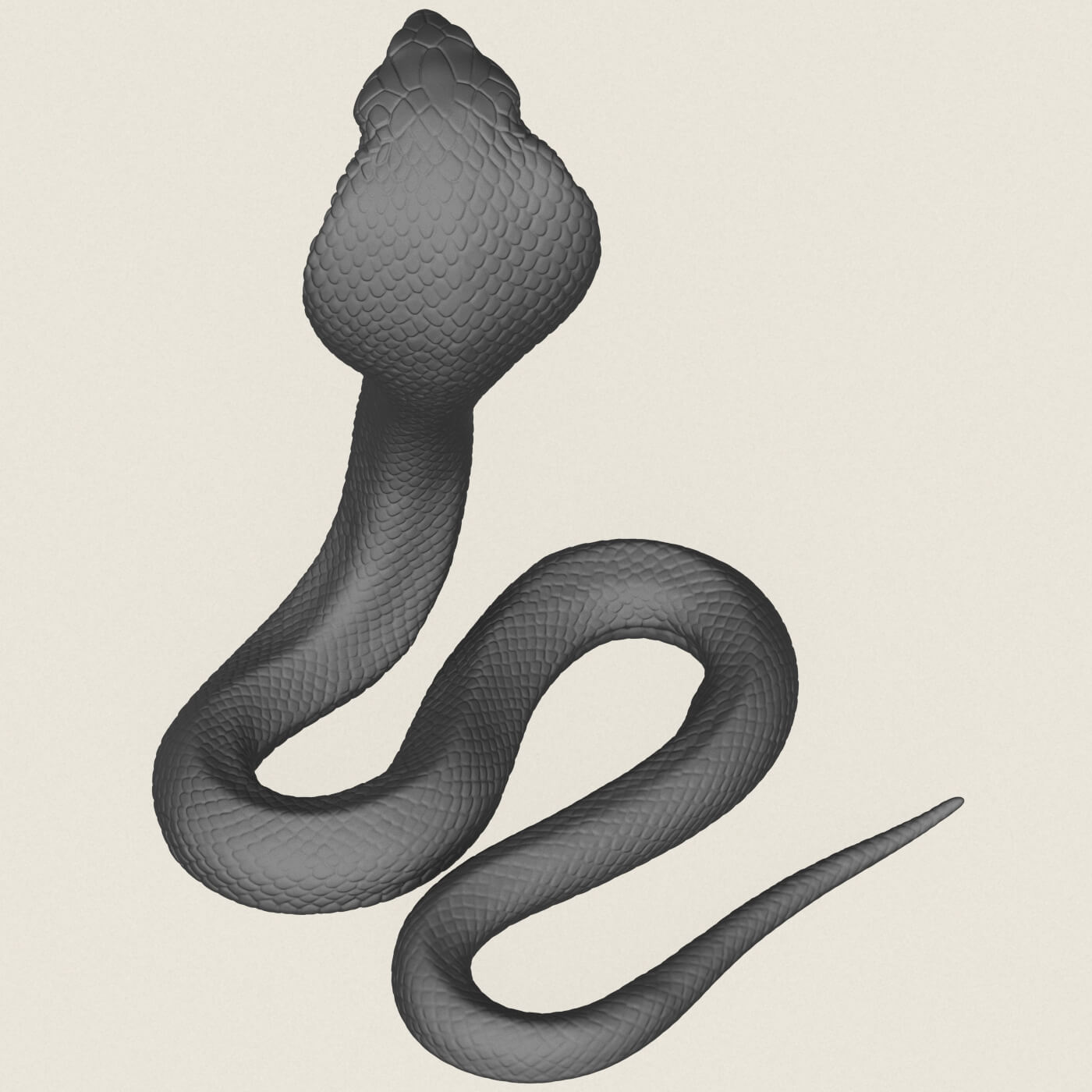 King Cobra Snake 3D Model