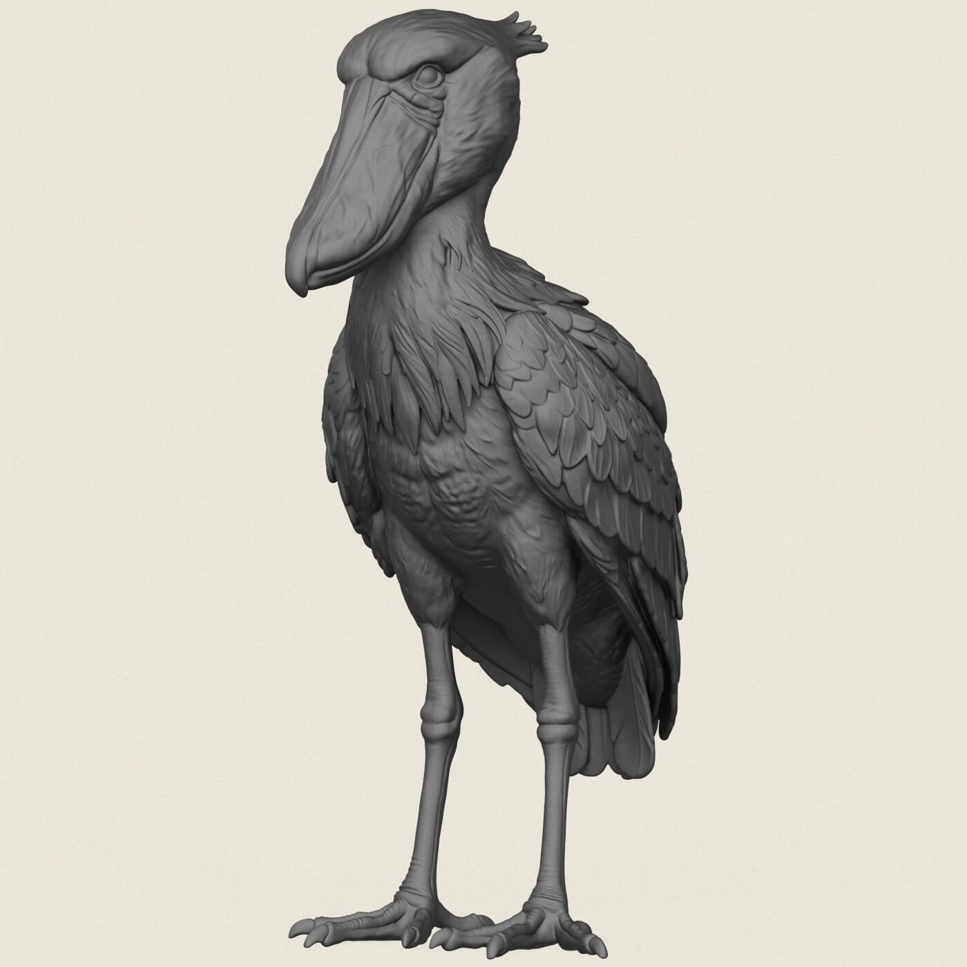 Shoebill Bird 3D Model
