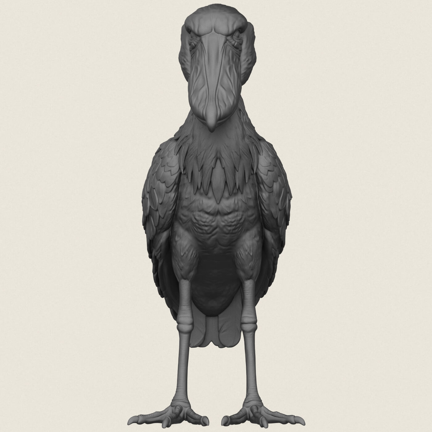 Shoebill Bird 3D Model