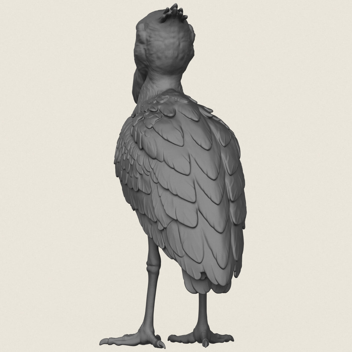 Shoebill Bird 3D Model