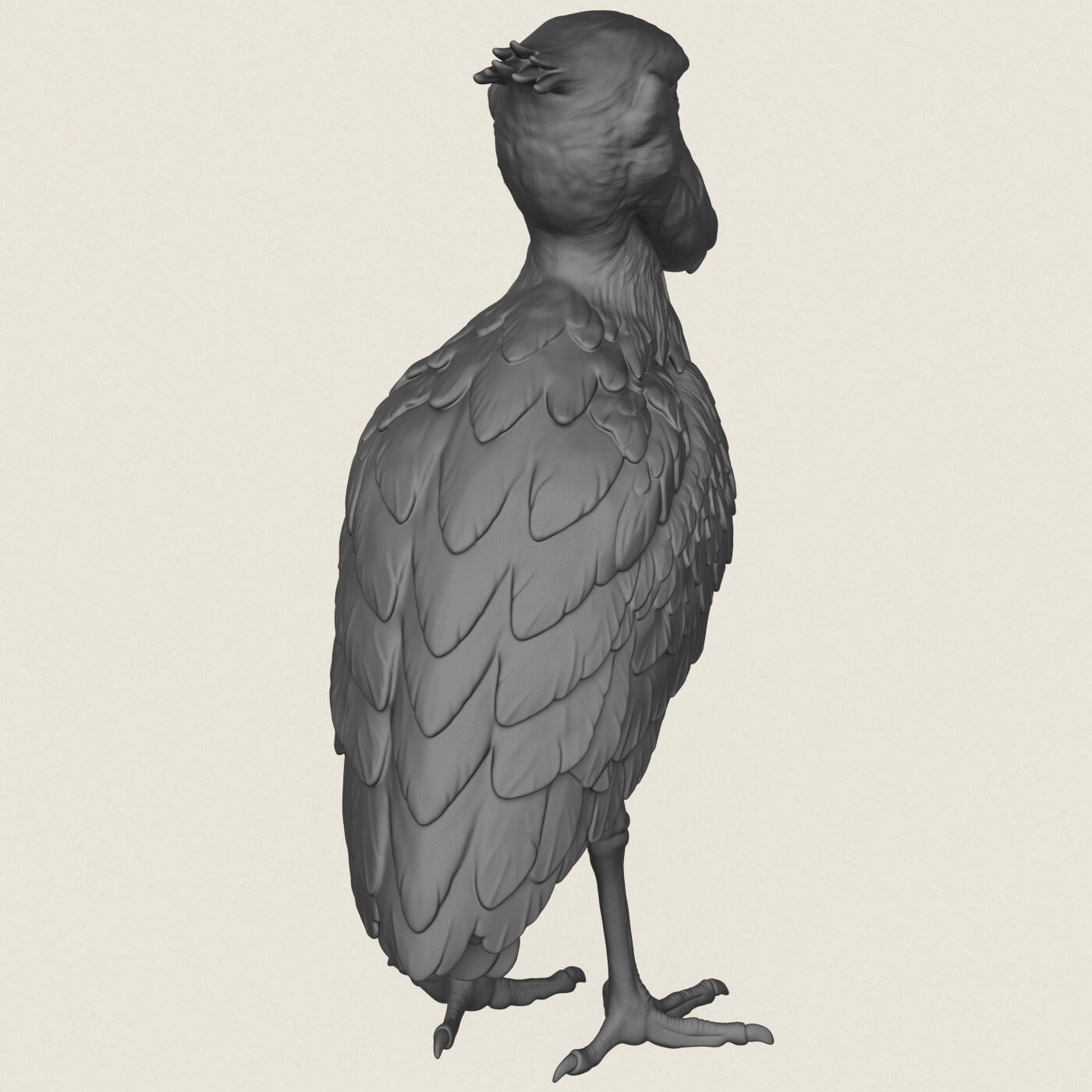 Shoebill Bird 3D Model