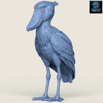 Shoebill Bird