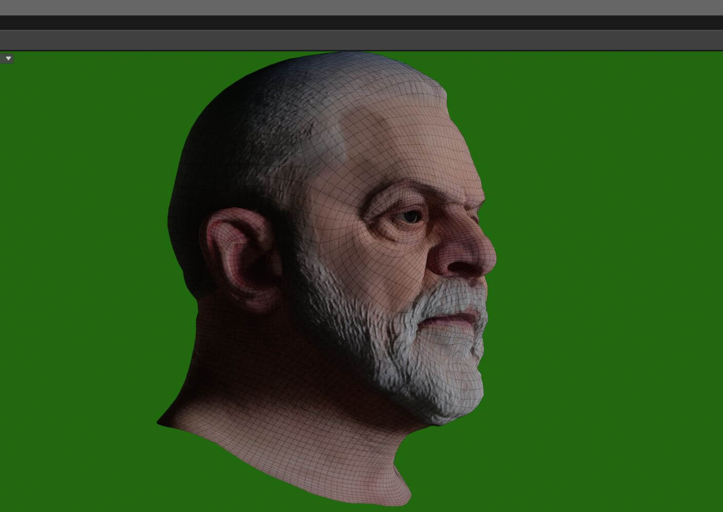 Lula da Silva &ndash Renderable Bust 3D Model