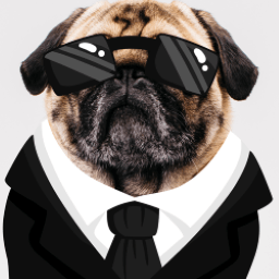 DirtyDawg