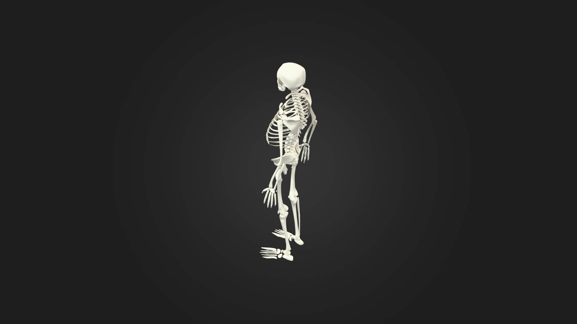 Human Skeleton 3D Model - Sculpture Monument &amp Game Asse 3D Model