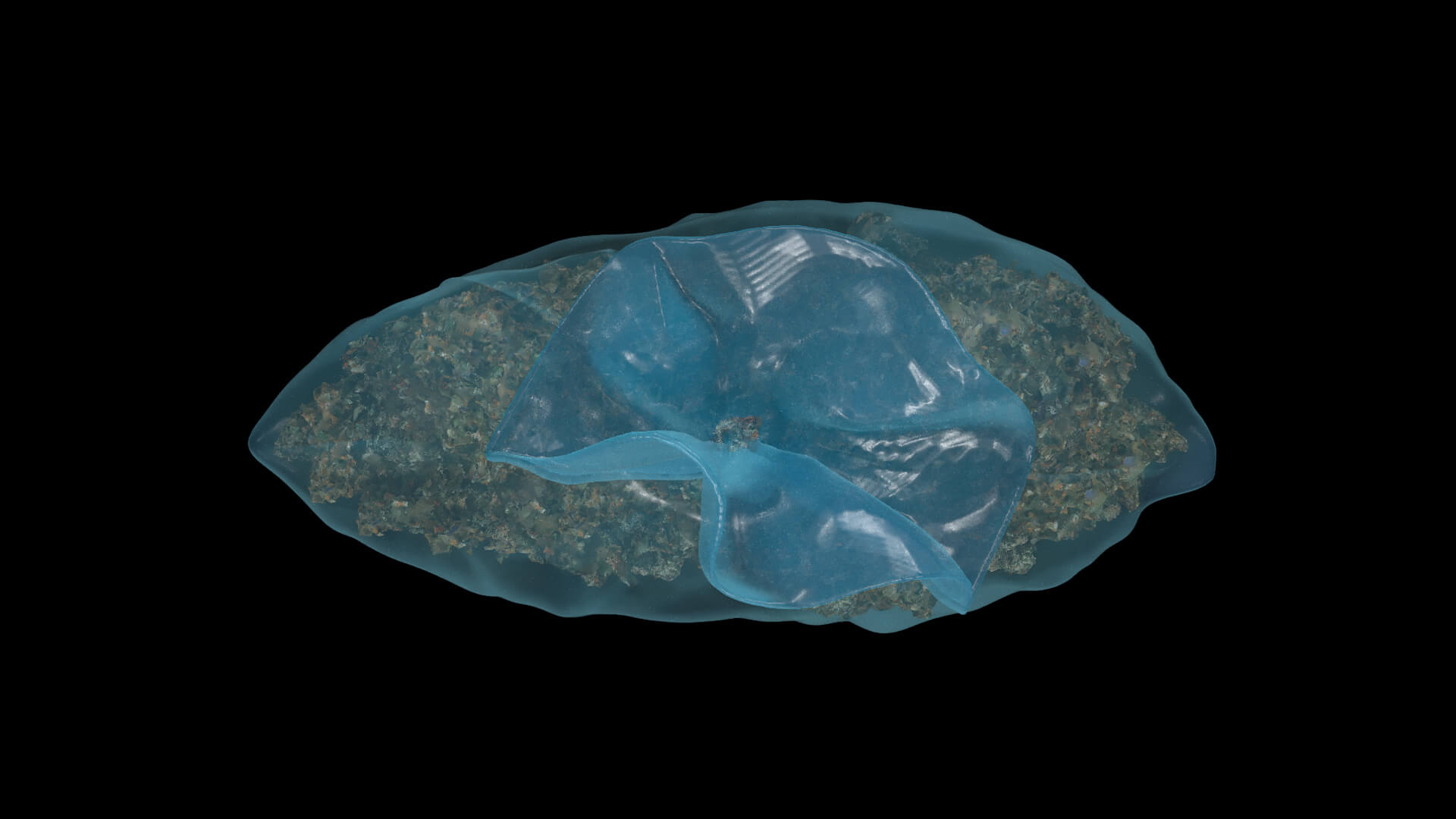 Big Bag of Weed 3D Model