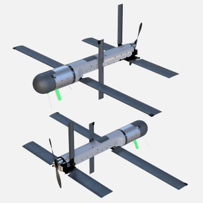 AeroVironment Mayhem 10