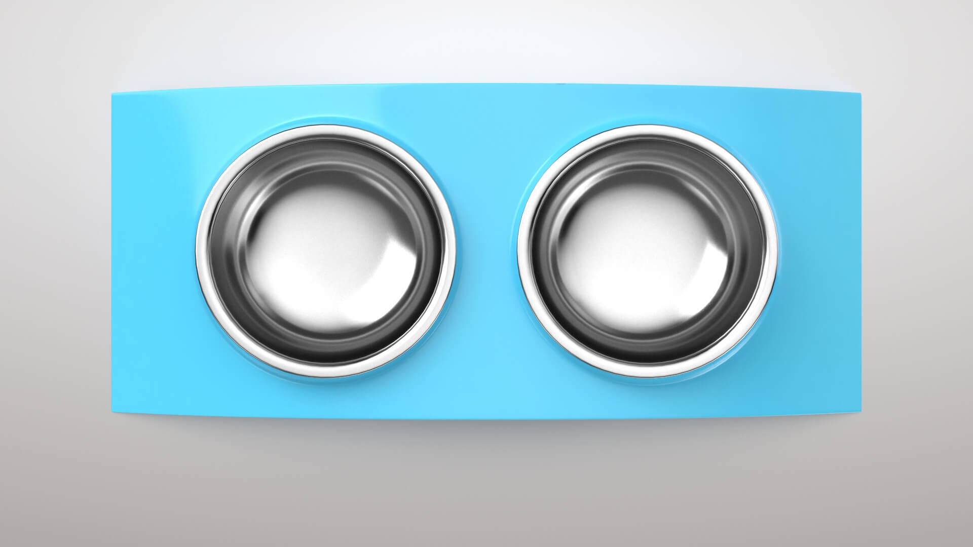 Animal Bowl 1V 3D Model