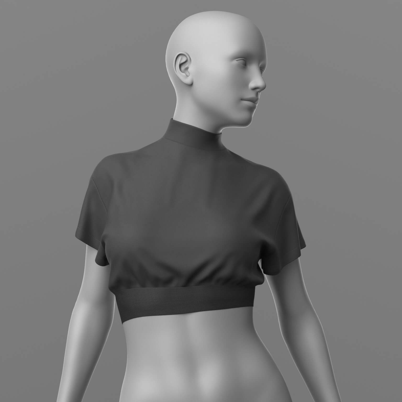 Crop Top 02v G8 Female Daz Content