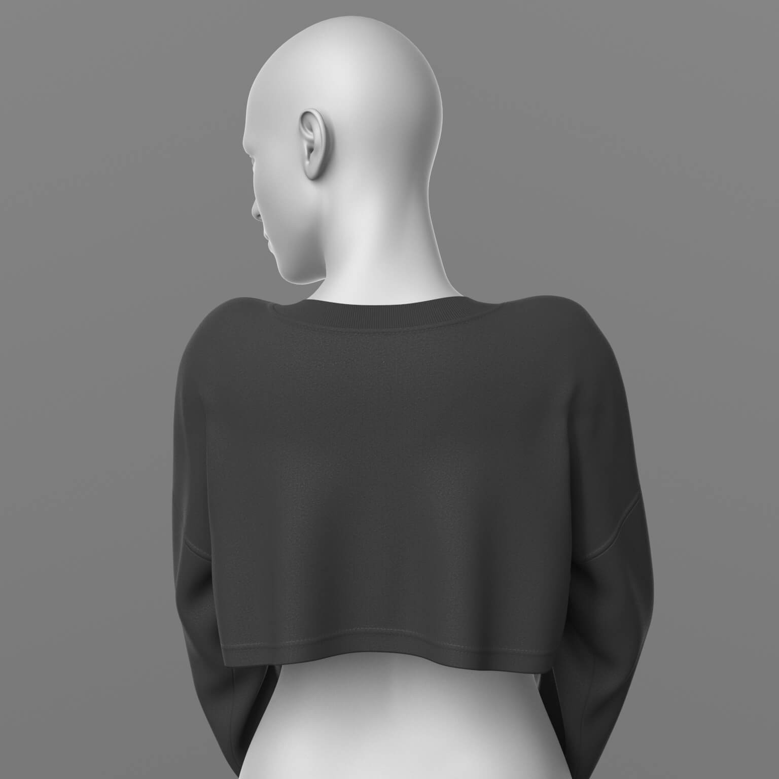 Cropped Sweatshirt G9 Daz Content