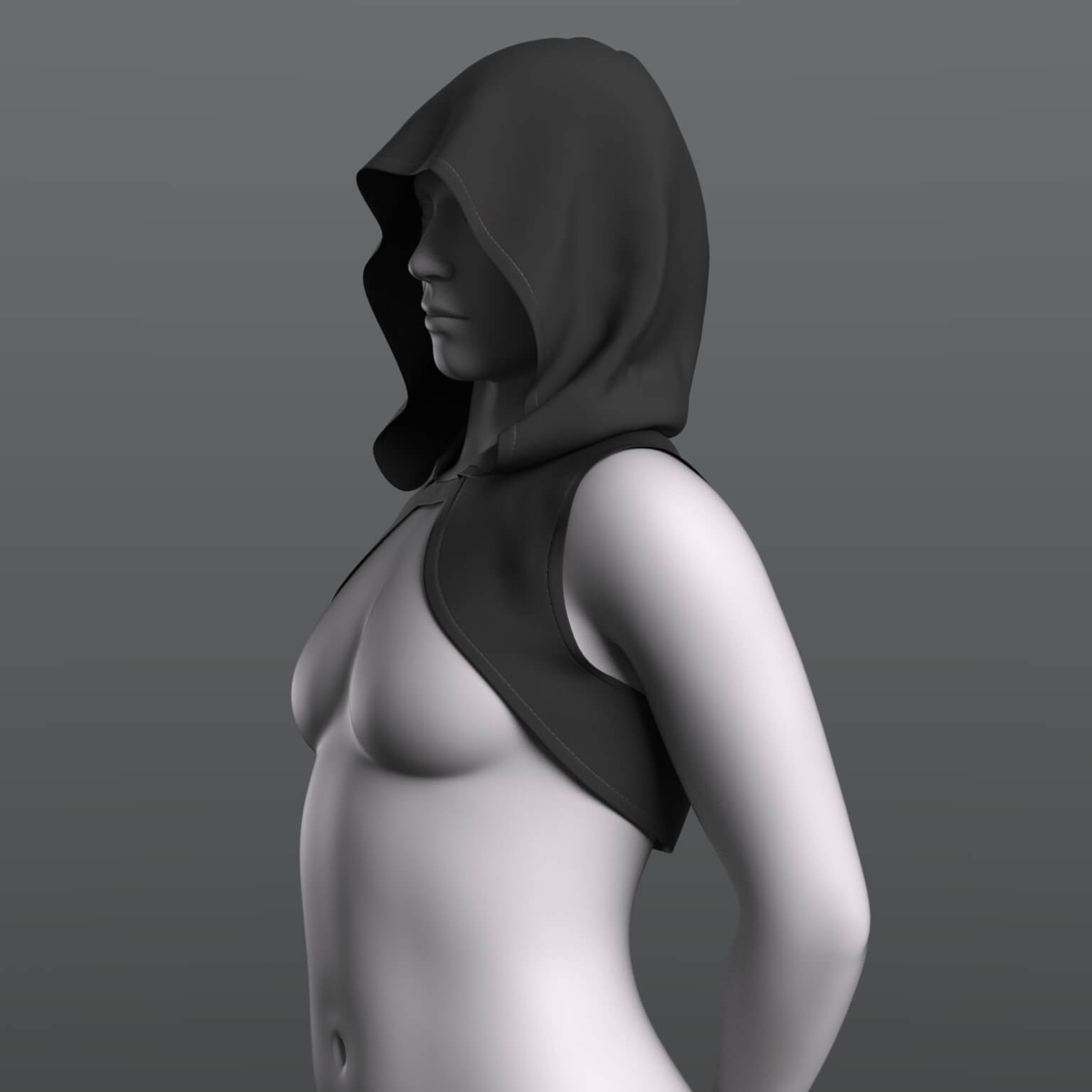 Hood Genesis 9 Daz Content
