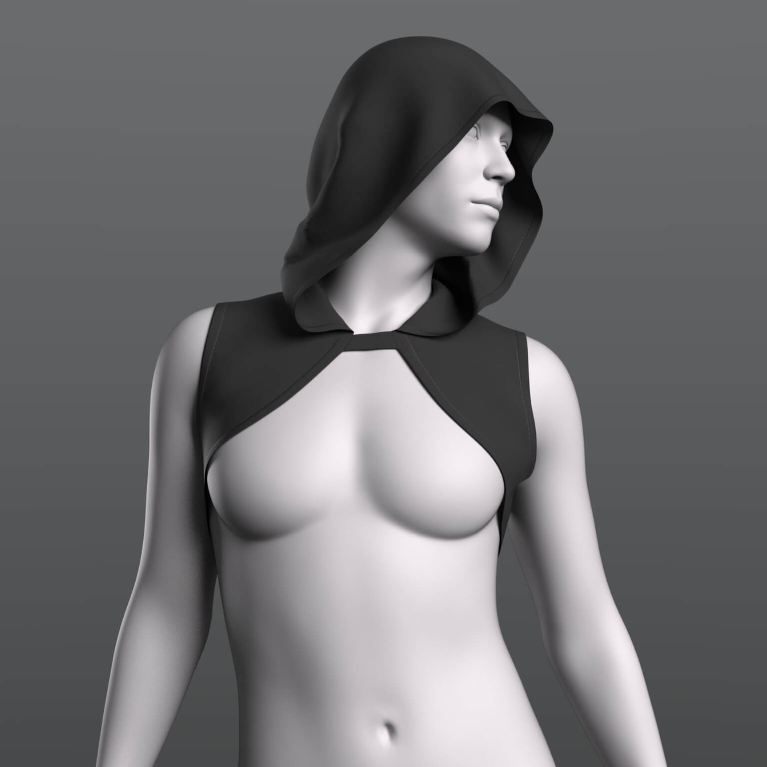 Hood Genesis 9 Daz Content