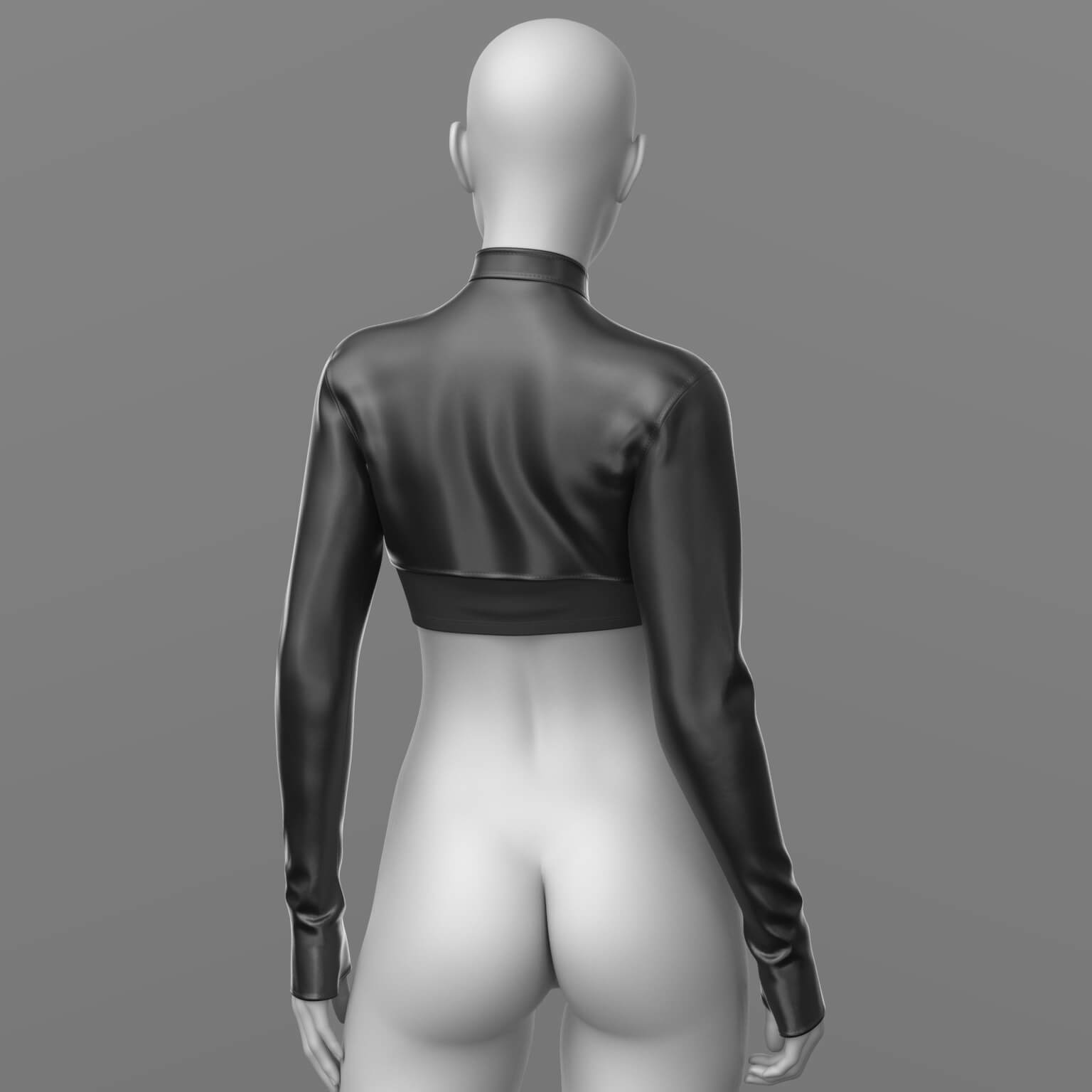 Jacket Sleeve and Top 09v G9 G8F Daz Content