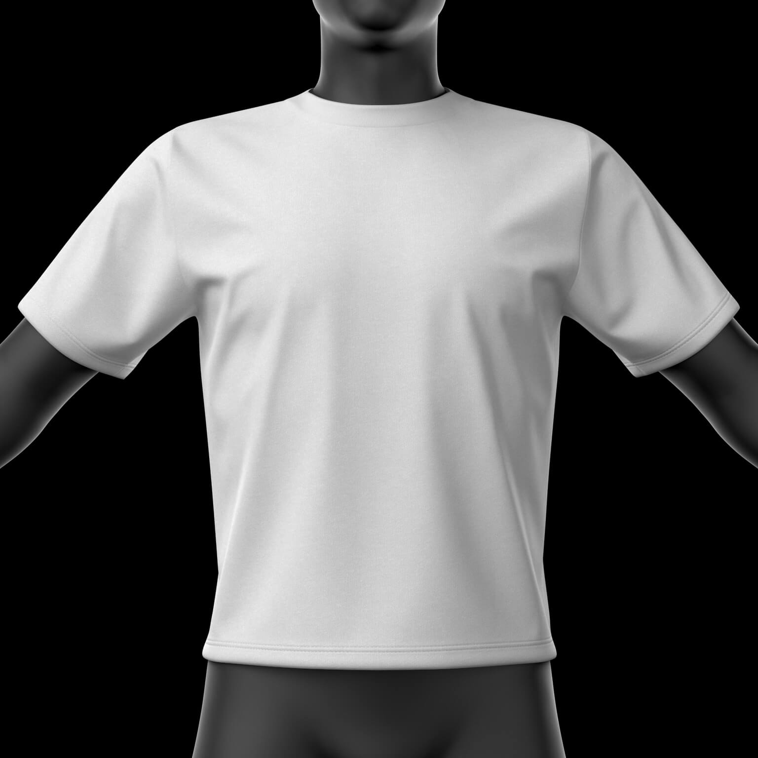 Shirt Male 01v 3D Model 3D Model