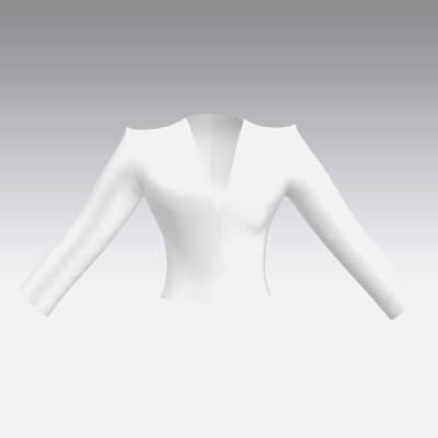 Blouse V Neckline Modern Long Sleeve Look