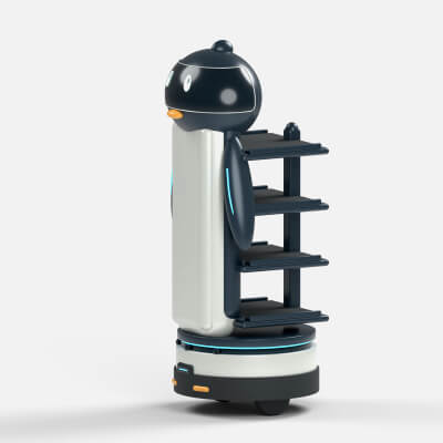 Penguin Serving Robot