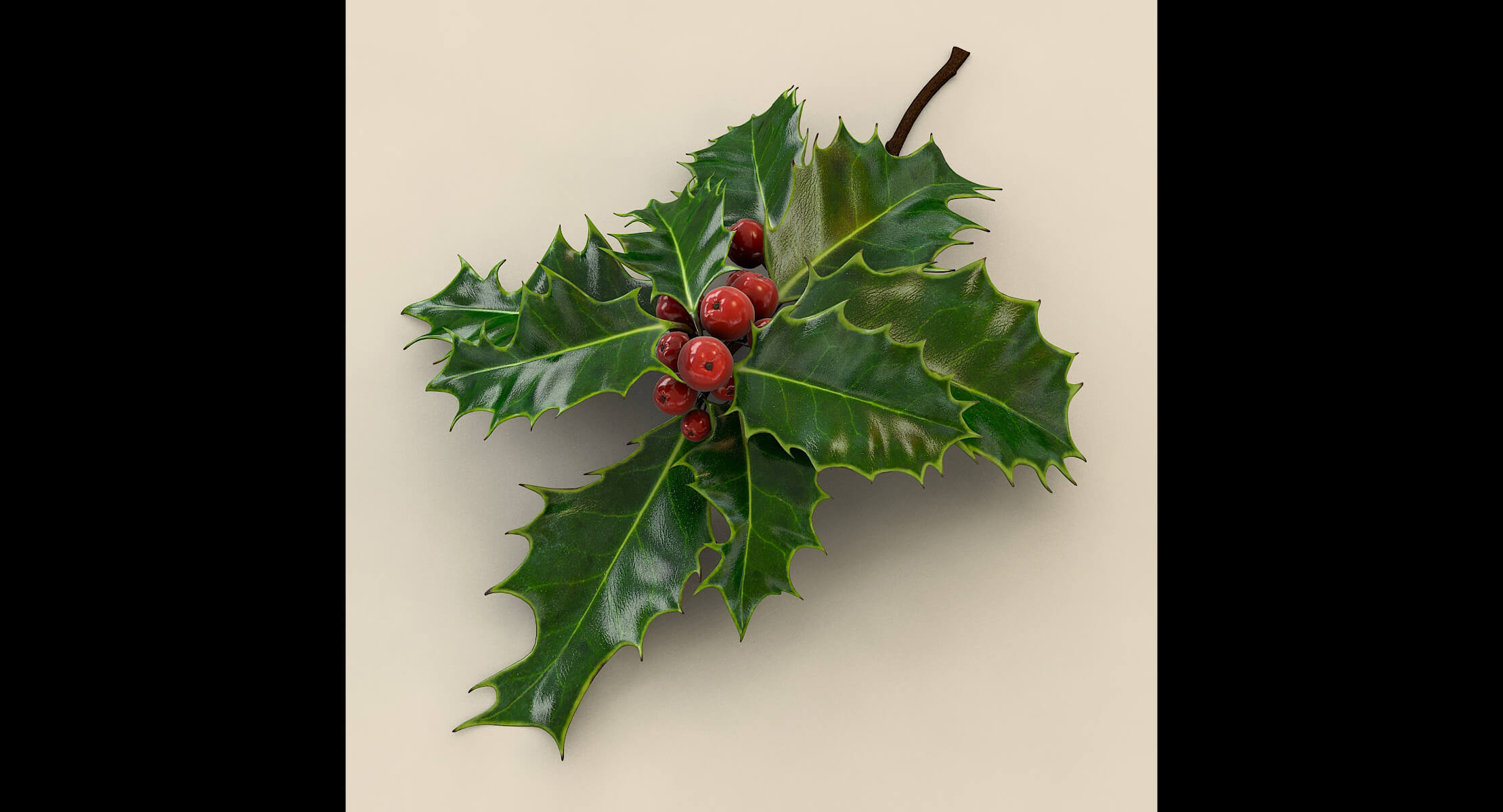 Mistletoe Sprig Holly 3D Model