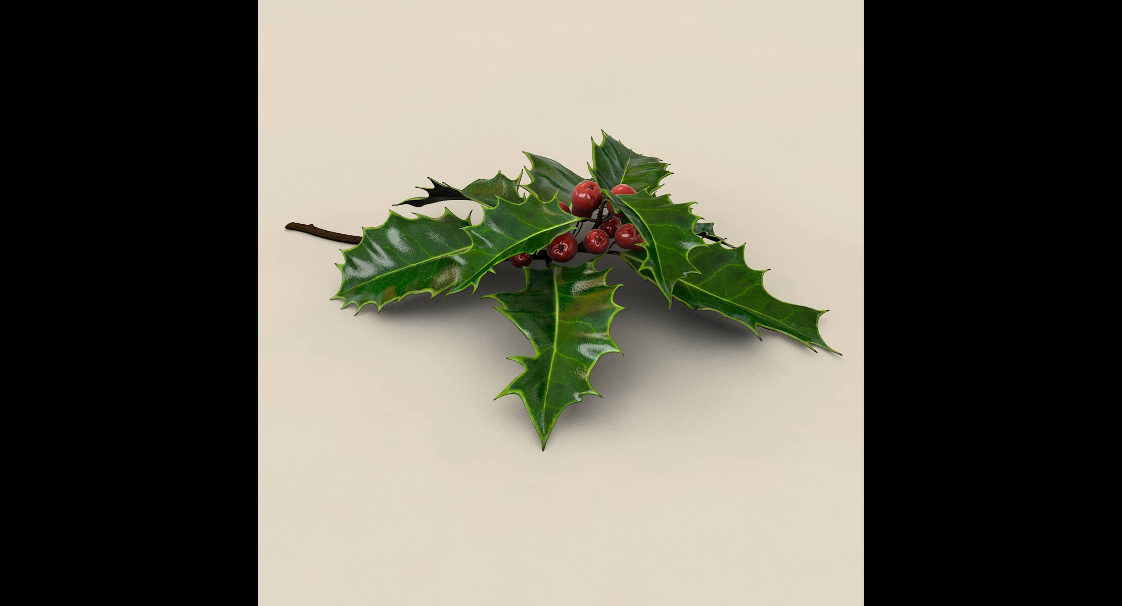 Mistletoe Sprig Holly 3D Model