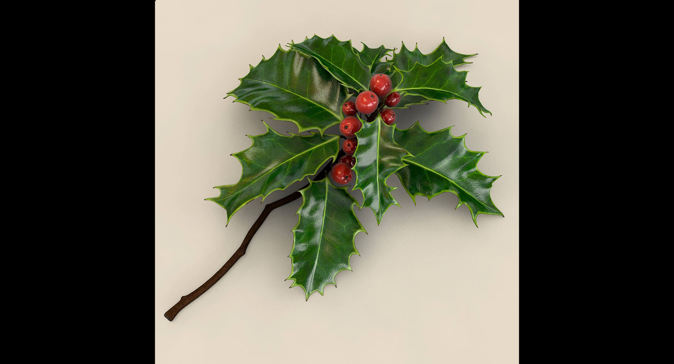 Mistletoe Sprig Holly 3D Model