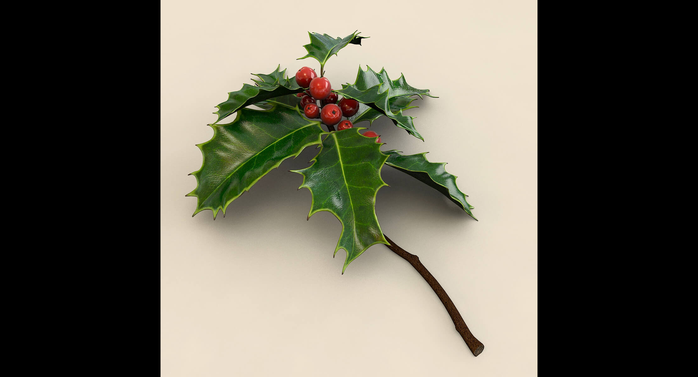 Mistletoe Sprig Holly 3D Model
