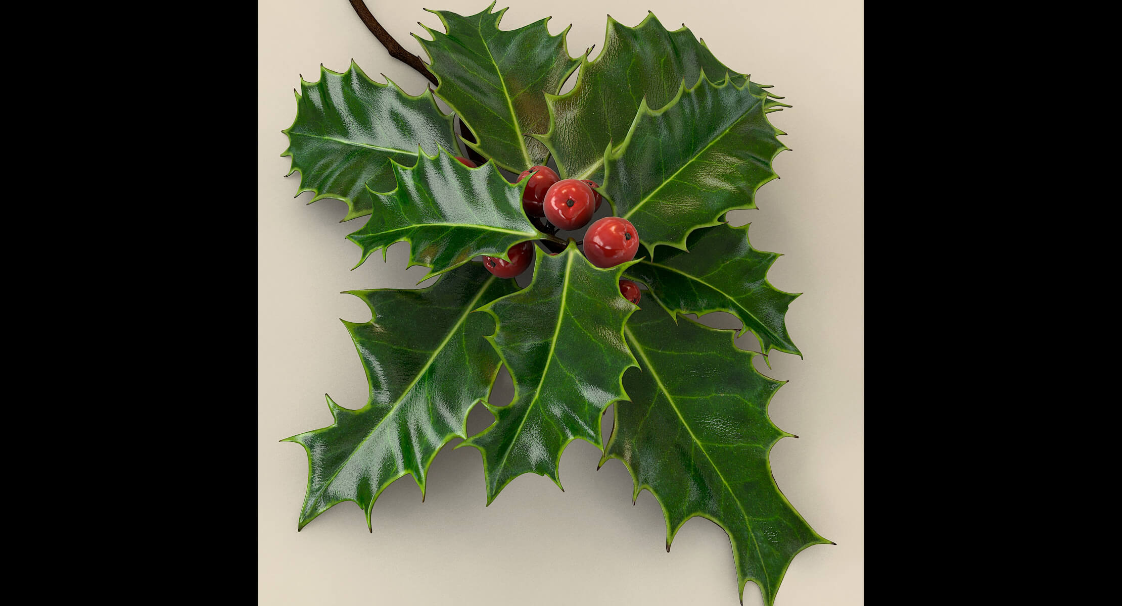 Mistletoe Sprig Holly 3D Model