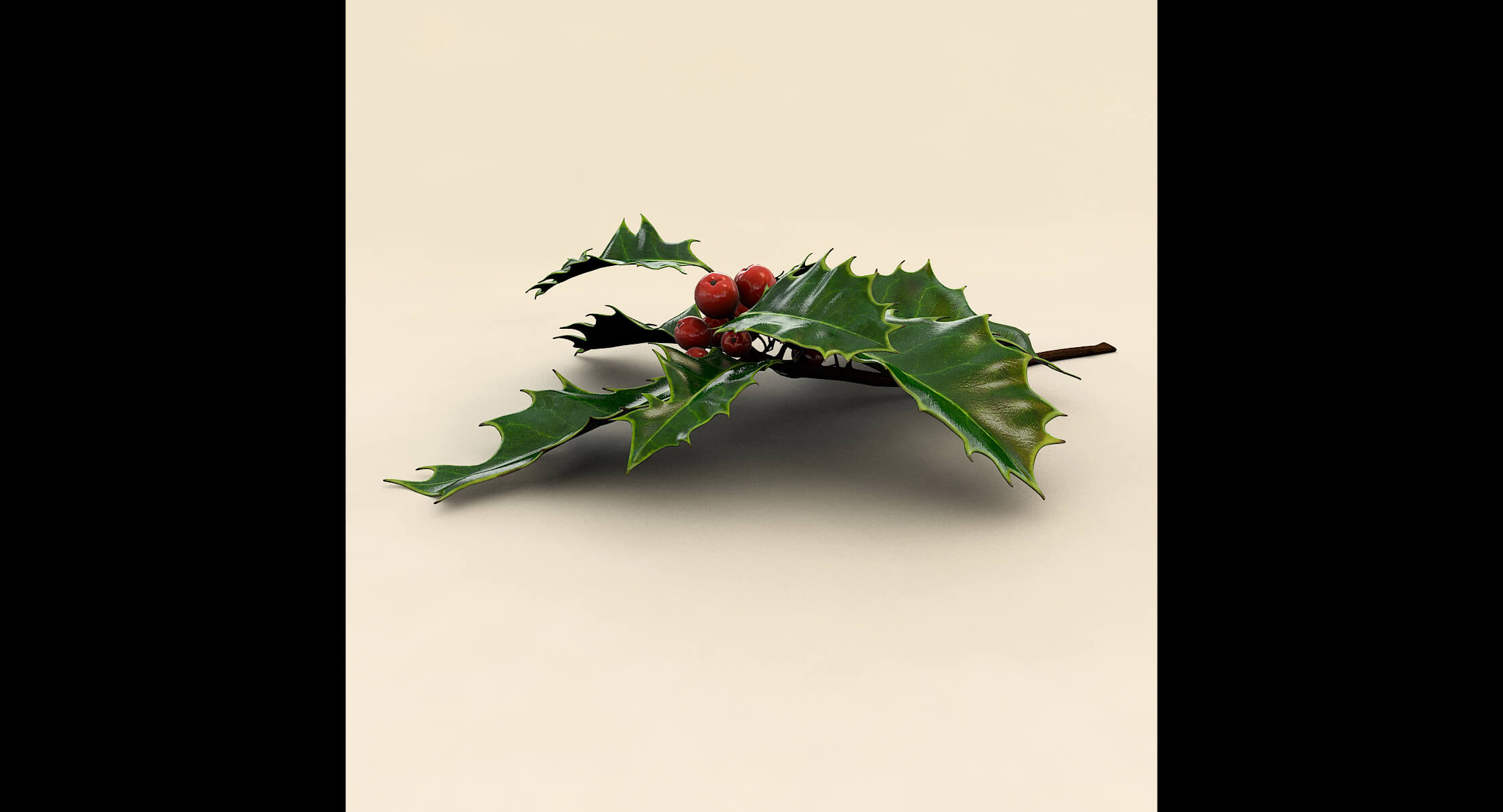 Mistletoe Sprig Holly 3D Model