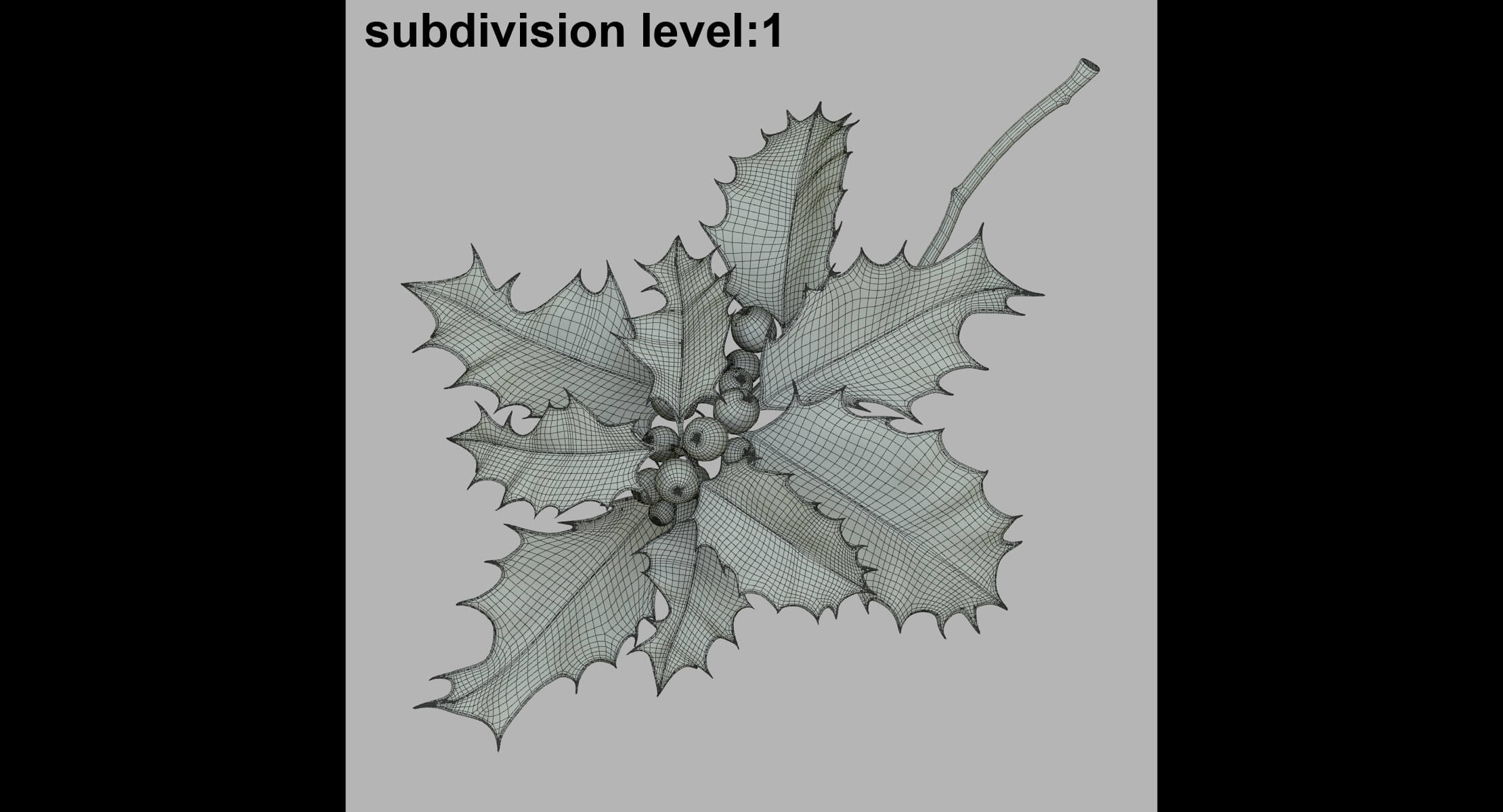 Mistletoe Sprig Holly 3D Model