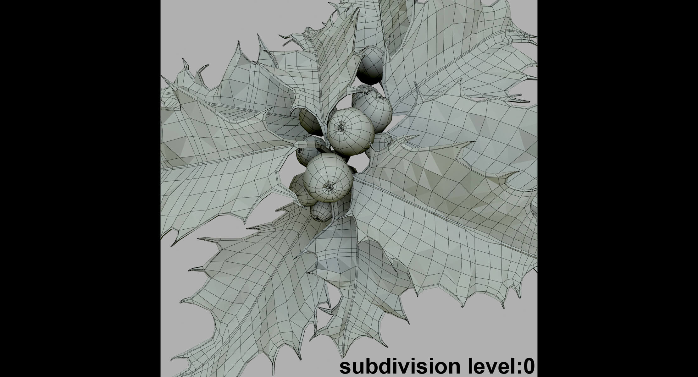 Mistletoe Sprig Holly 3D Model