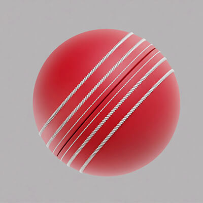 Cricket Ball