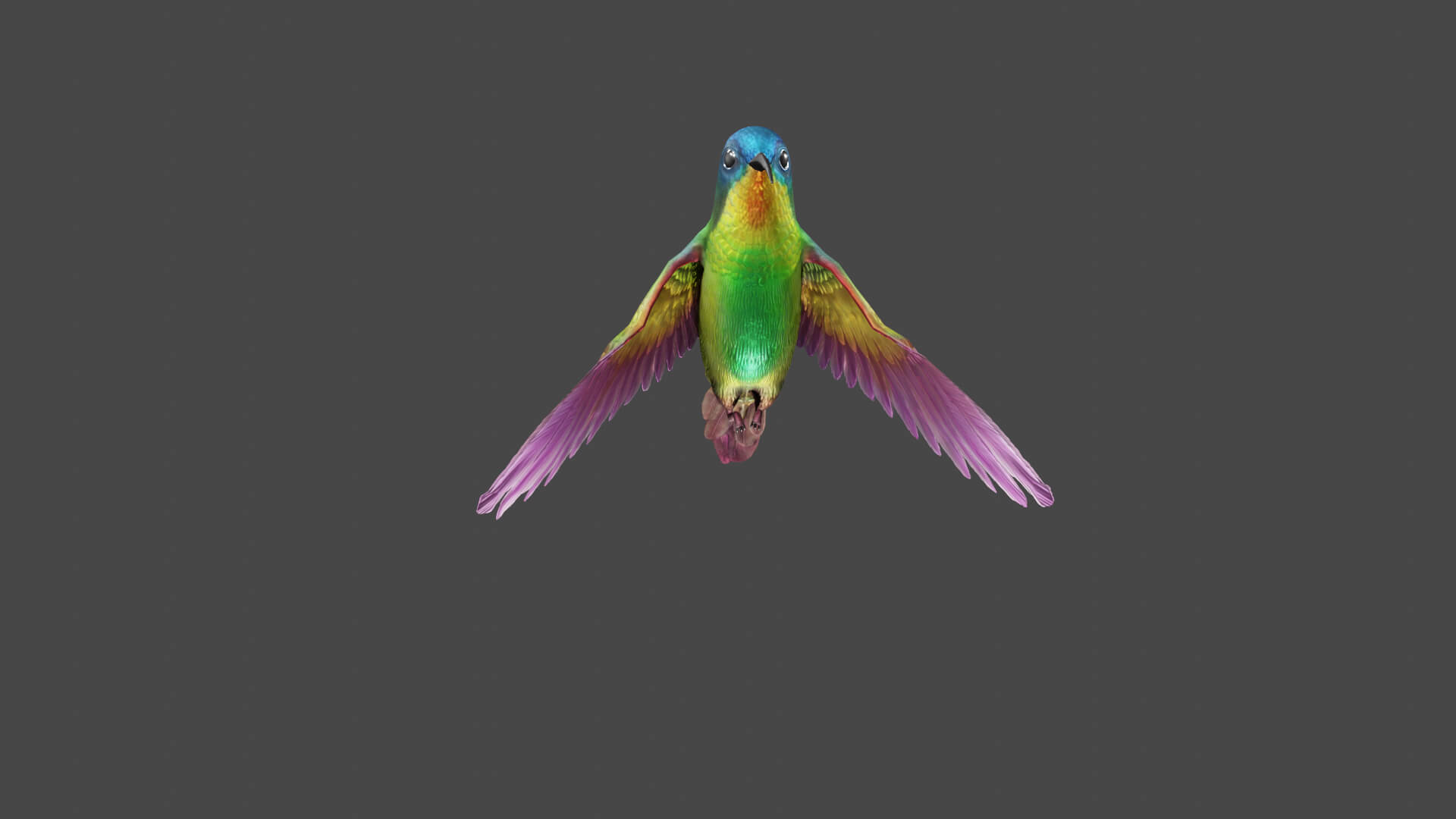 Flying Humming Bird 3D Model
