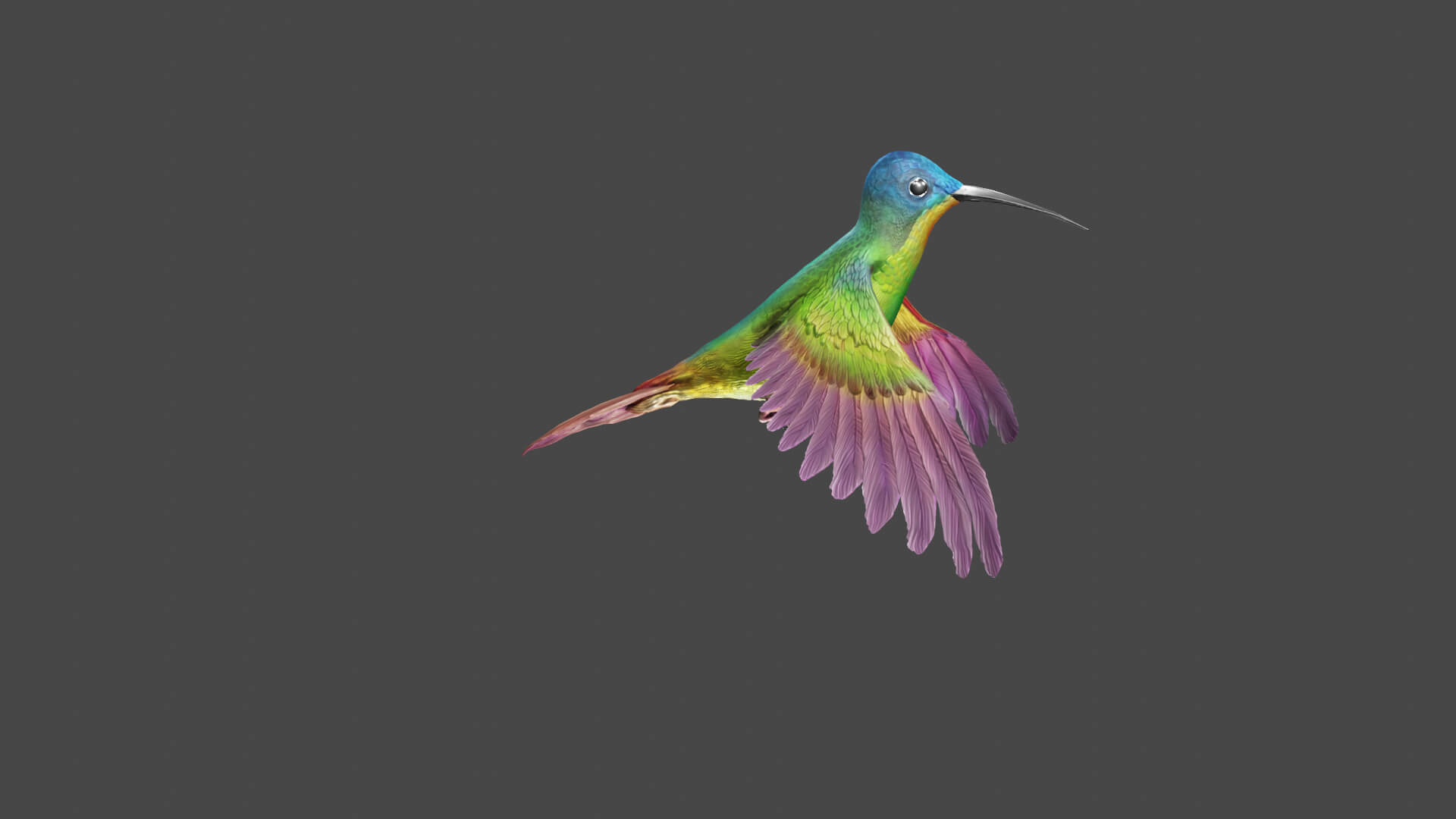 Flying Humming Bird 3D Model
