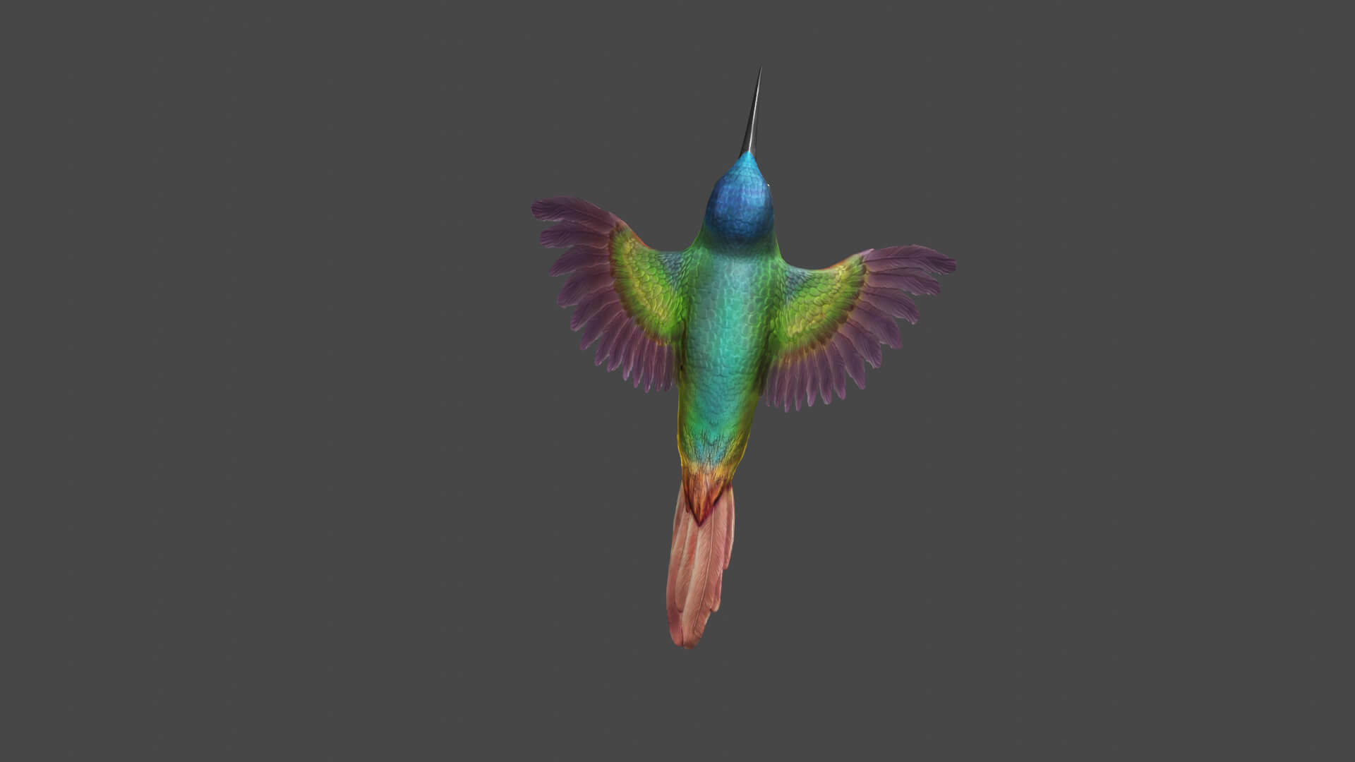 Flying Humming Bird 3D Model