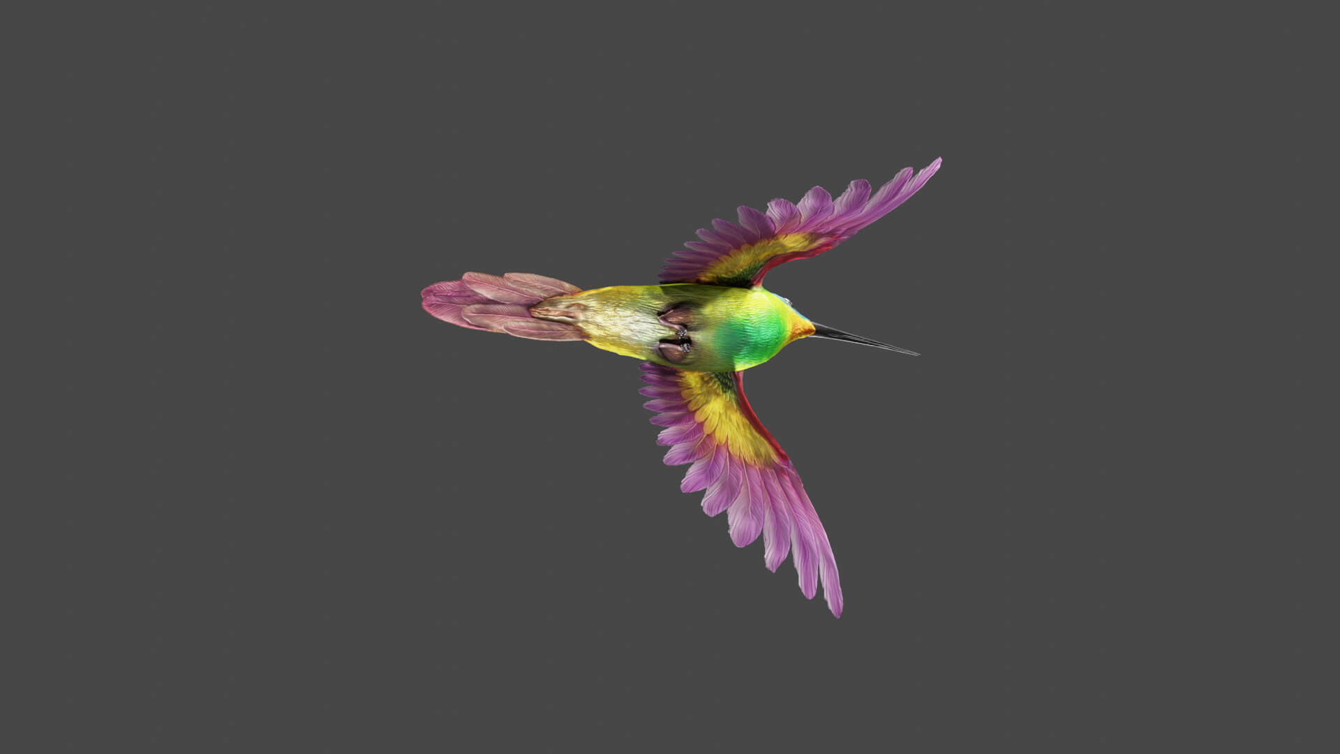Flying Humming Bird 3D Model