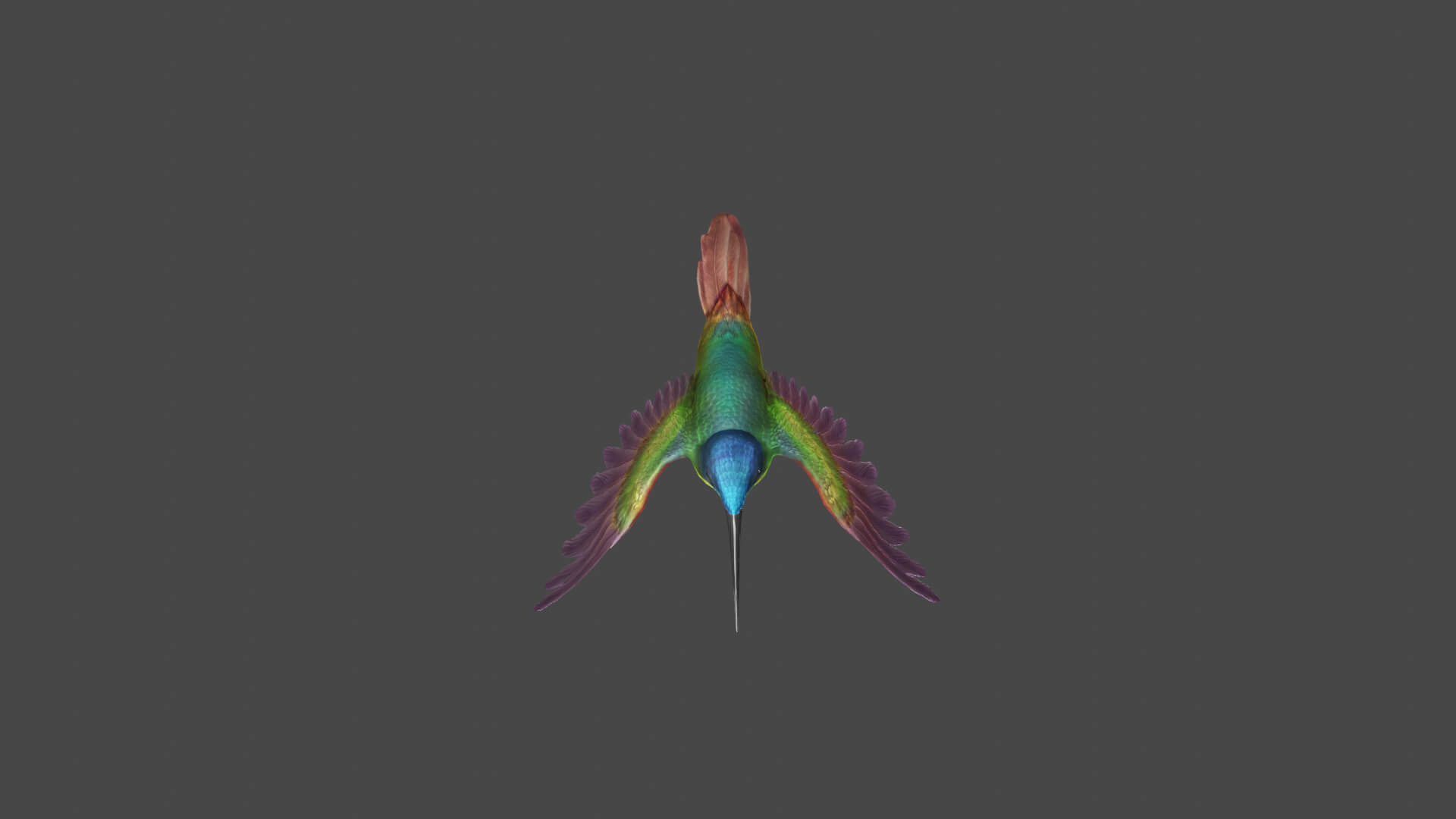 Flying Humming Bird 3D Model