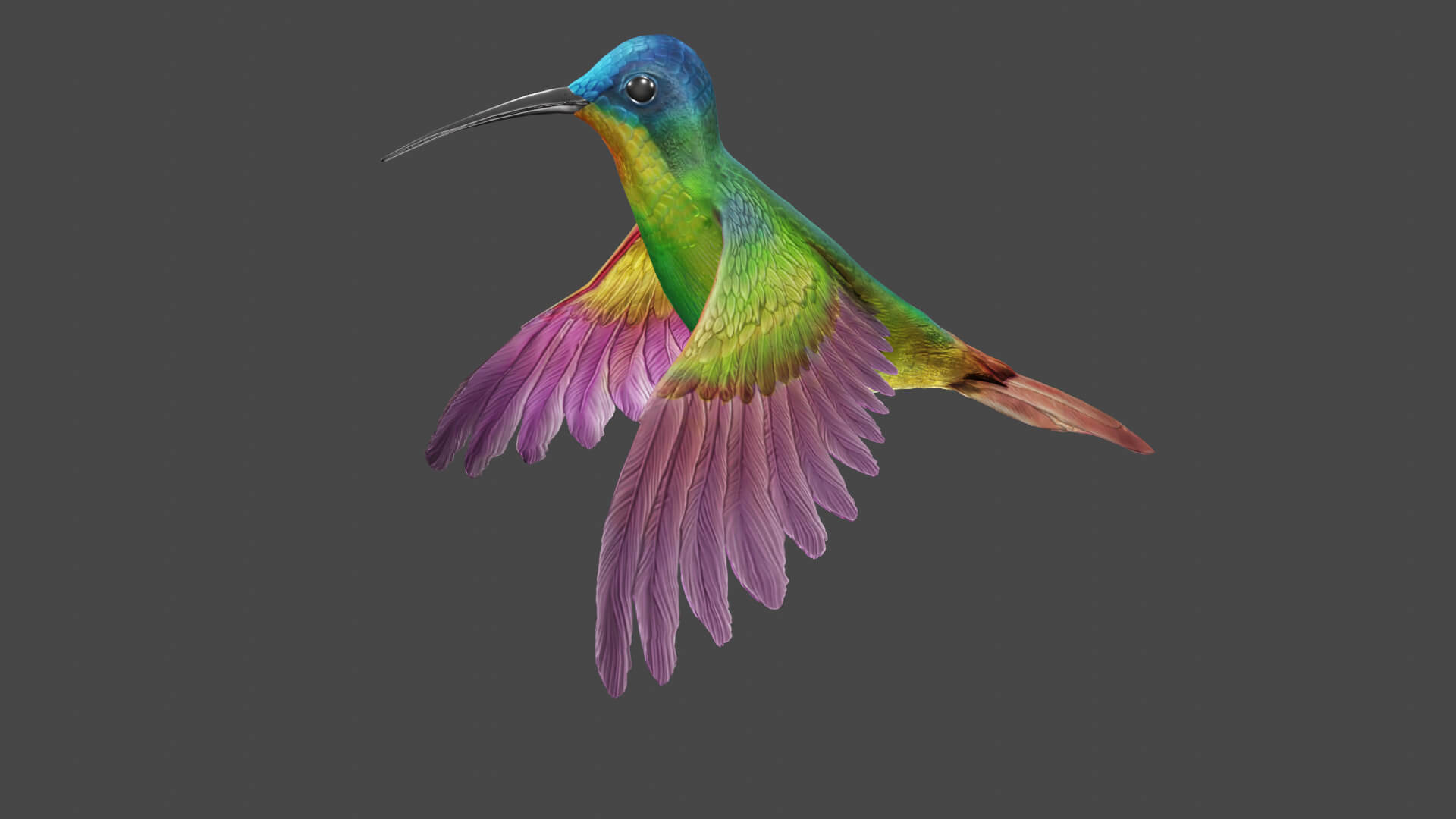 Flying Humming Bird 3D Model