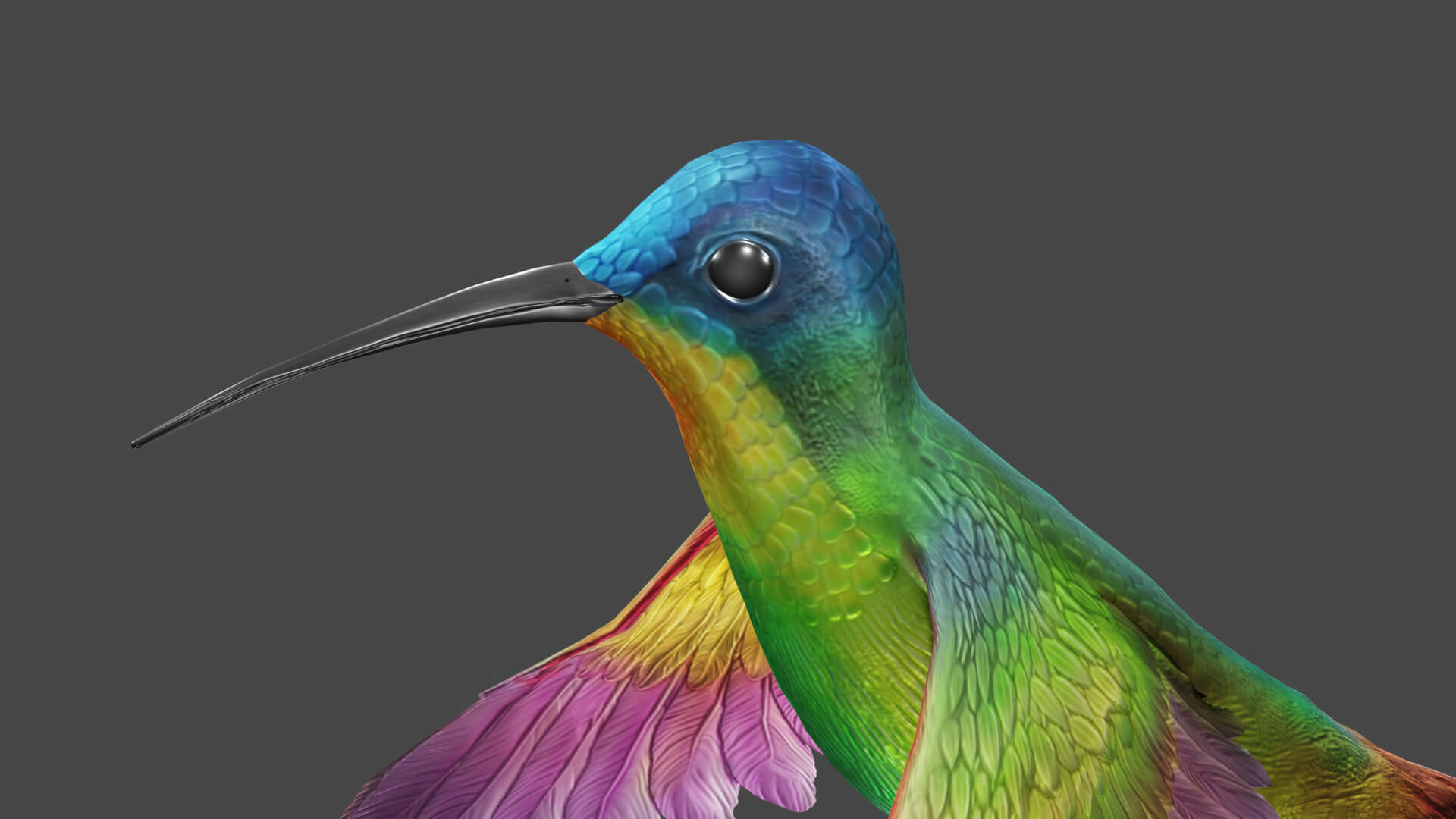 Flying Humming Bird 3D Model