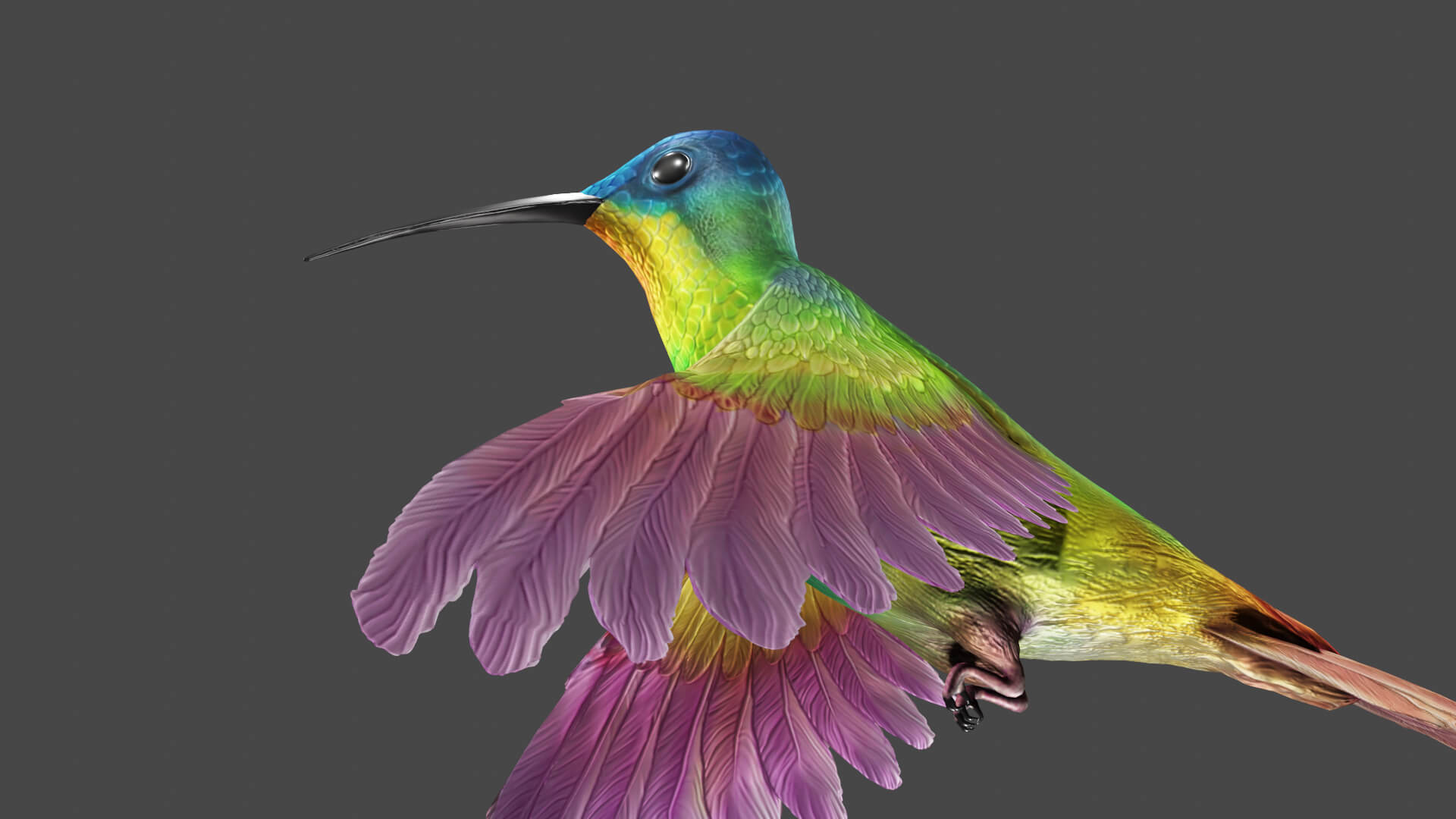 Flying Humming Bird 3D Model